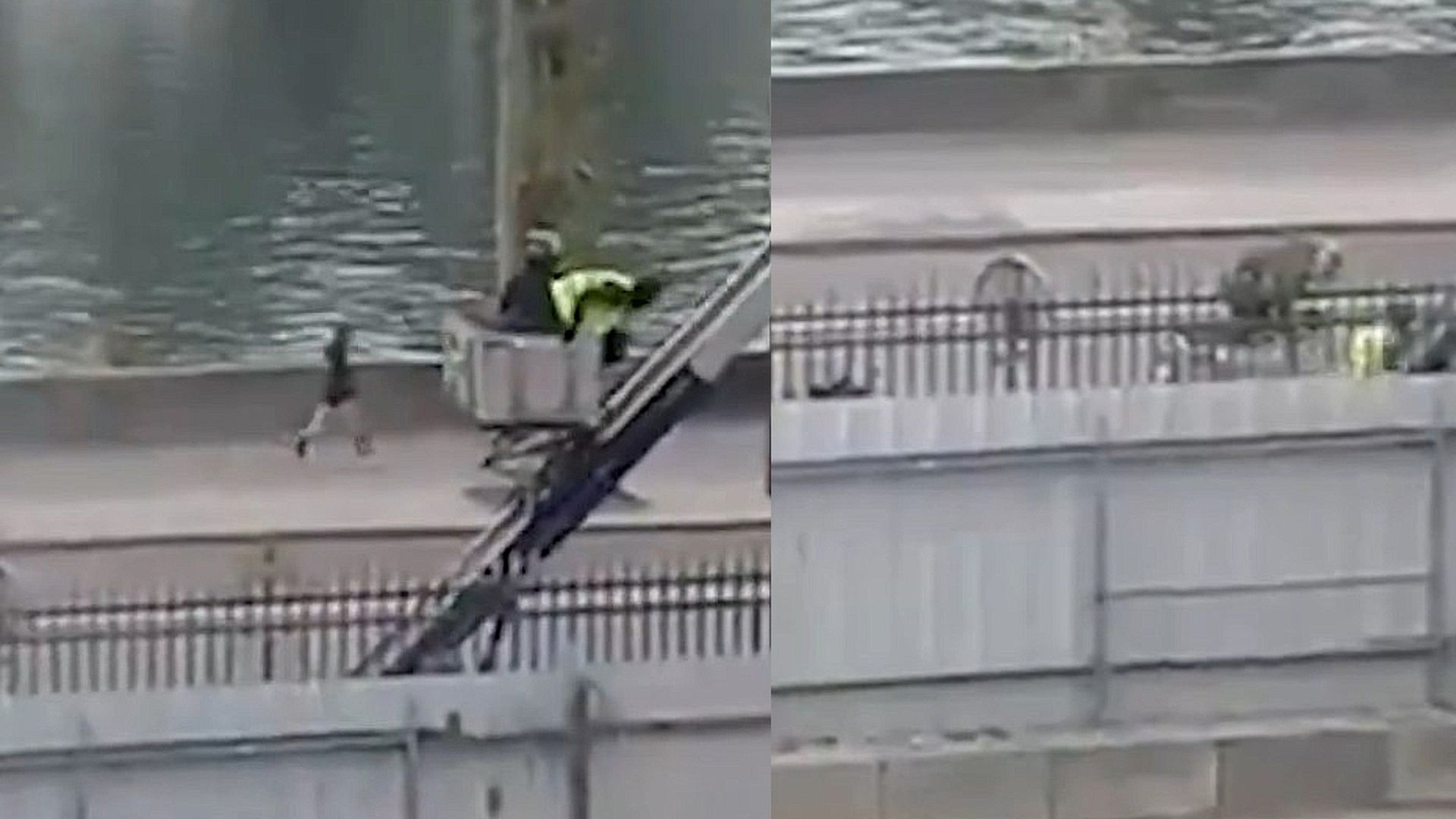 Los ladrone del Louvre