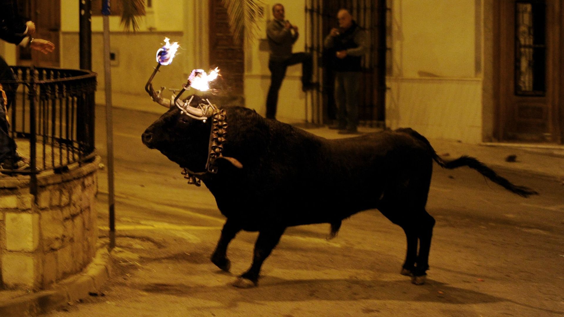 Toro embolado