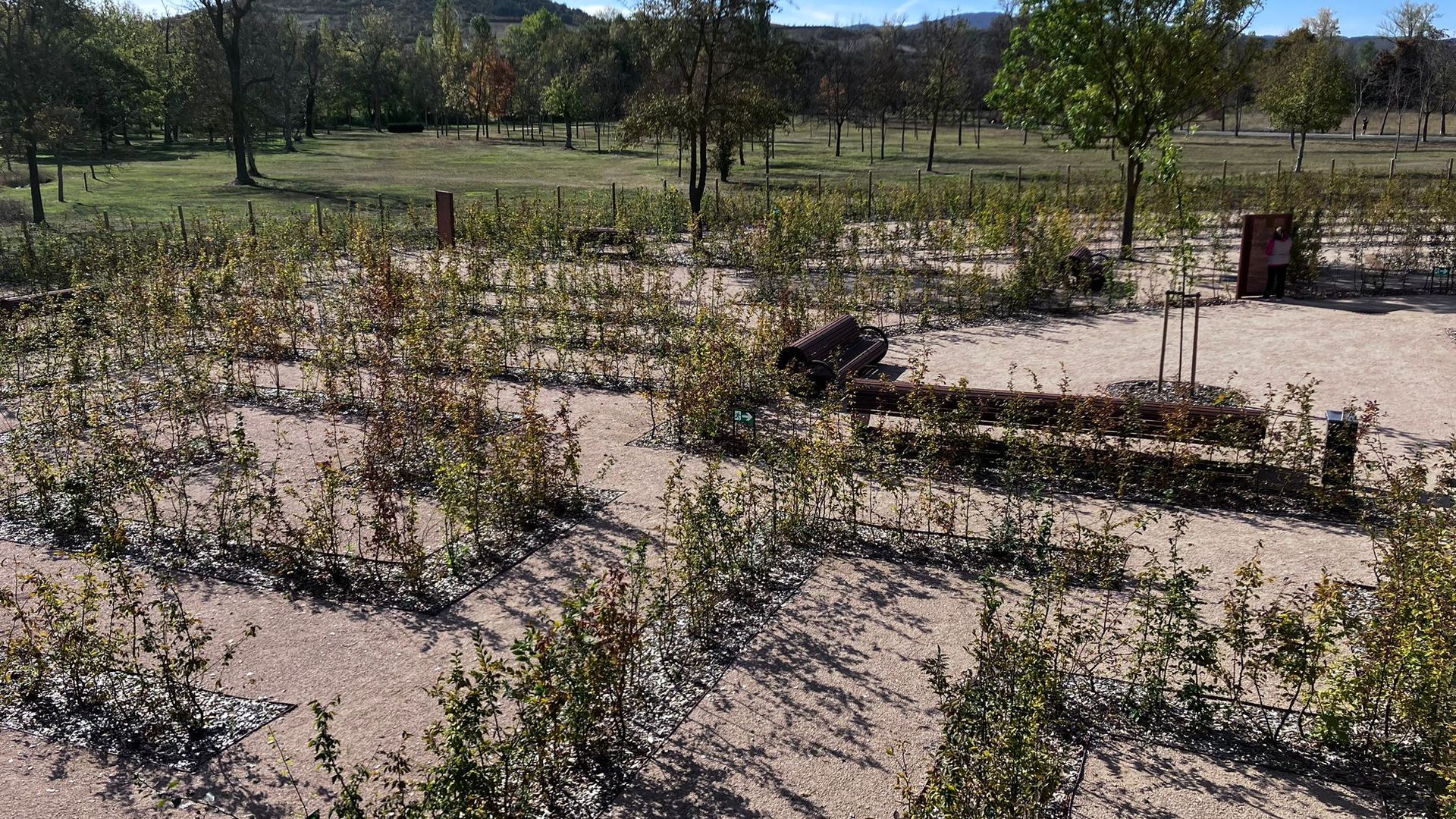 La decepción ha cundido al comprobar que los caminos del laberinto son completamente visibles