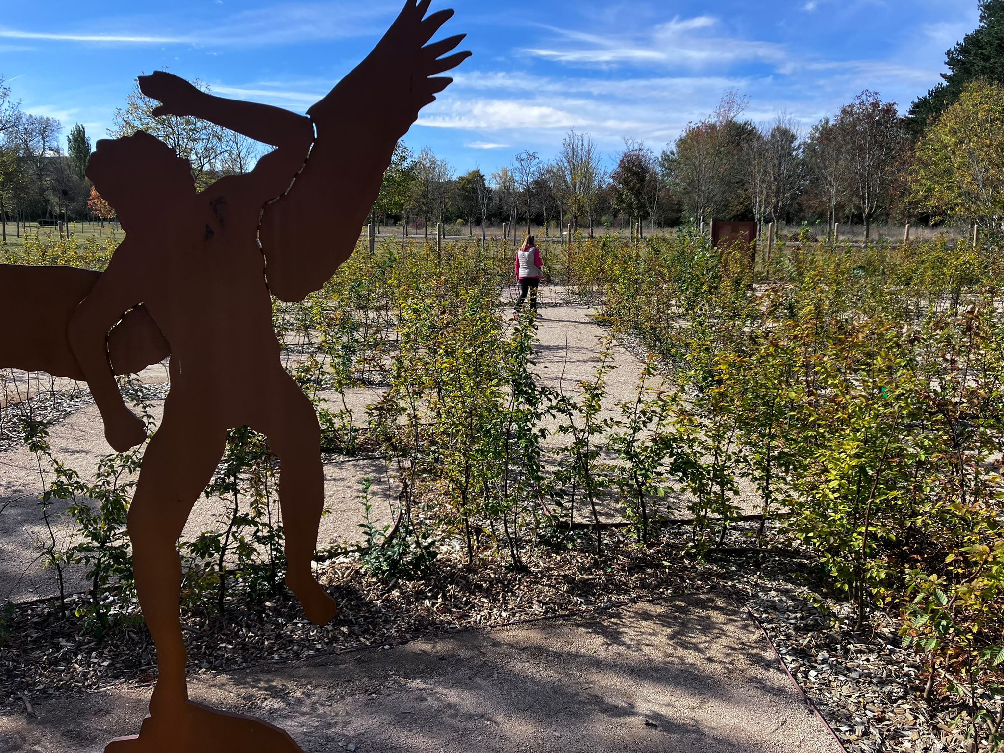 Los árboles plantados son autóctonos y de hoja caduca, en lugar de cipreses