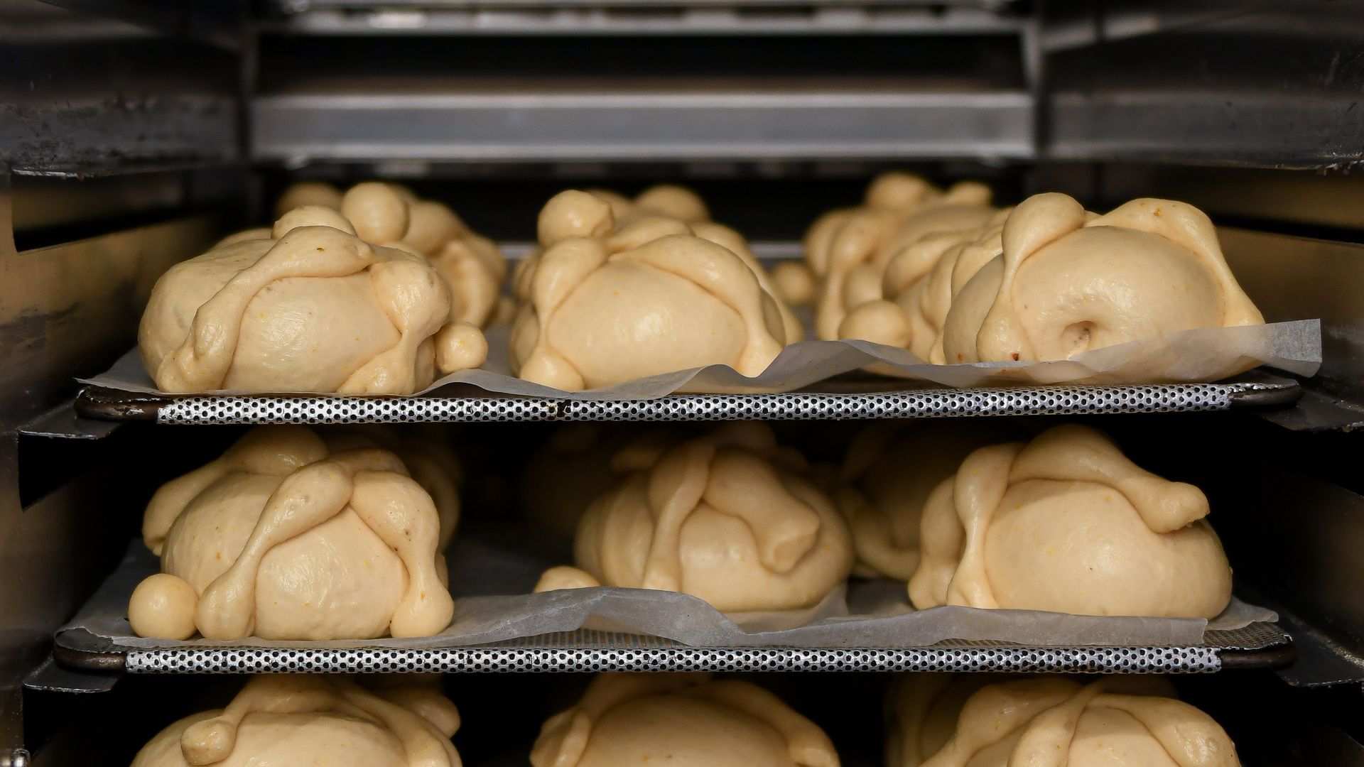 A partir de la segunda quincena de octubre se incrementa la produccón