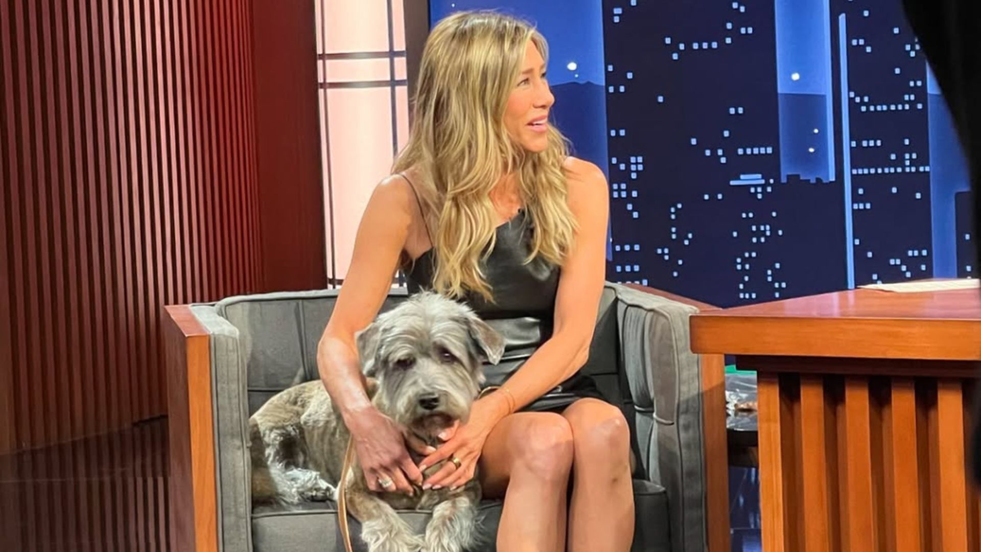 Jennifer Aniston y su perro tienen un libro de cocina para peques: su receta de enchiladas