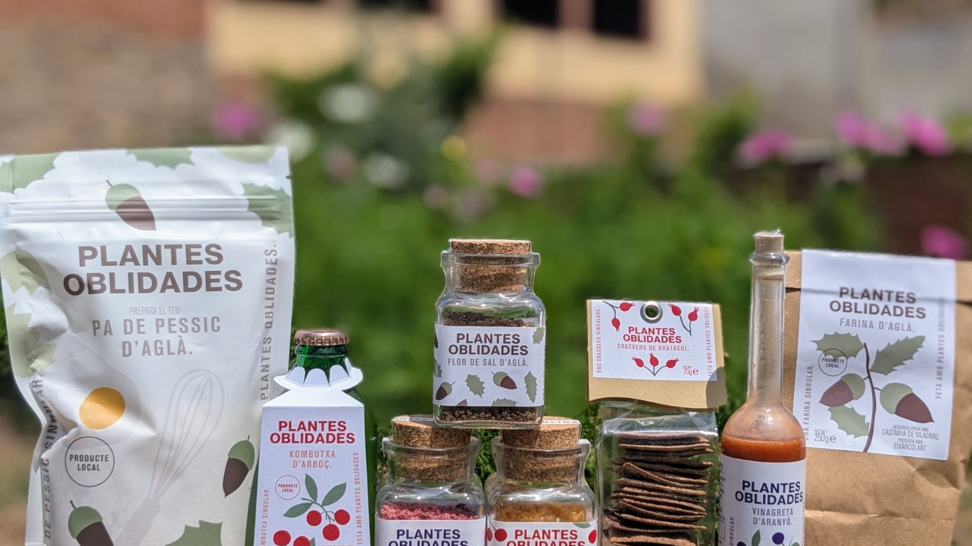 Crean productos con frutos "olvidados" de los bosques