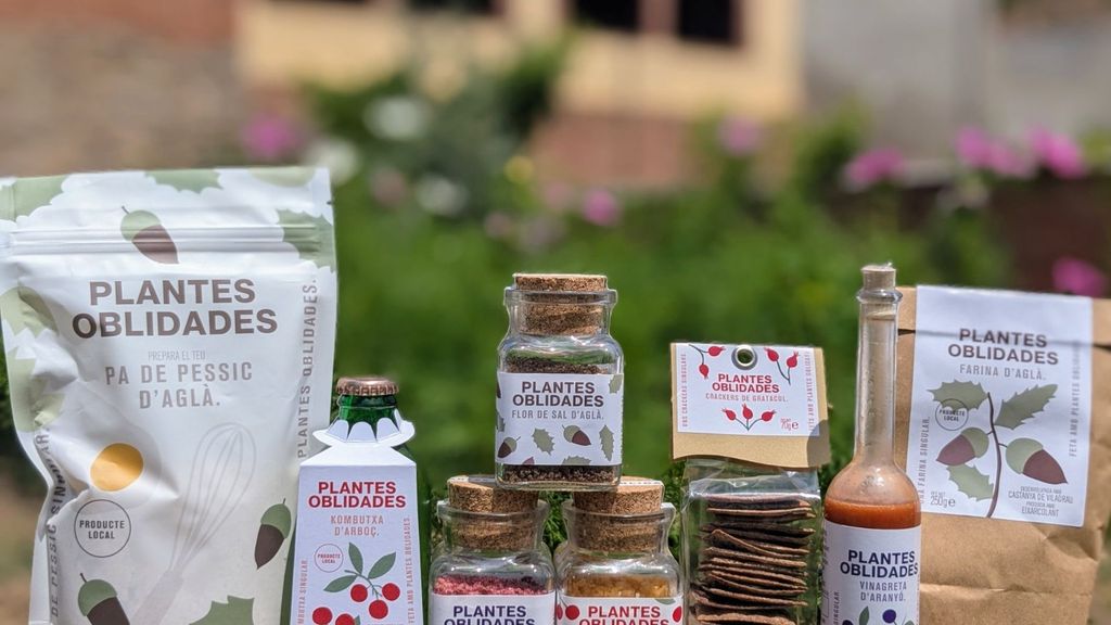 Crean productos con frutos "olvidados" de los bosques