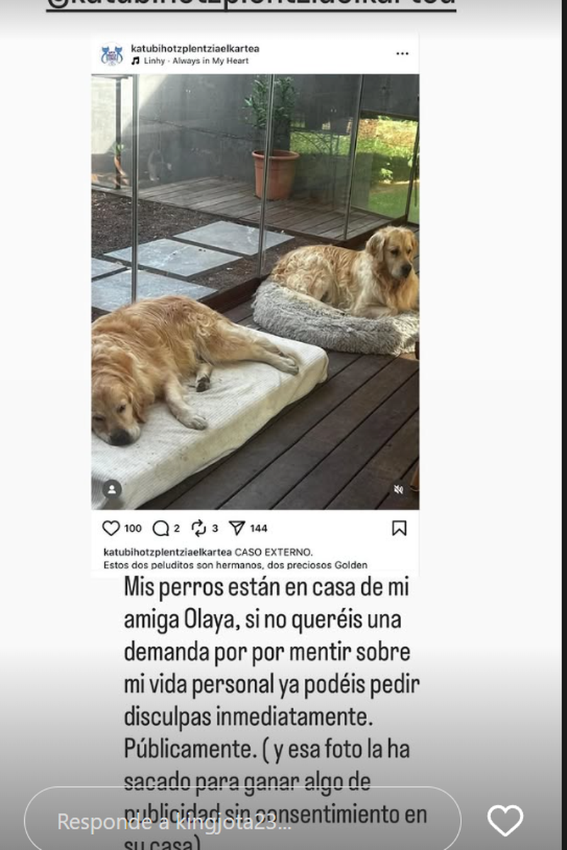Jota Peleteiro desmiente que haya puesto en adopción a los perros
