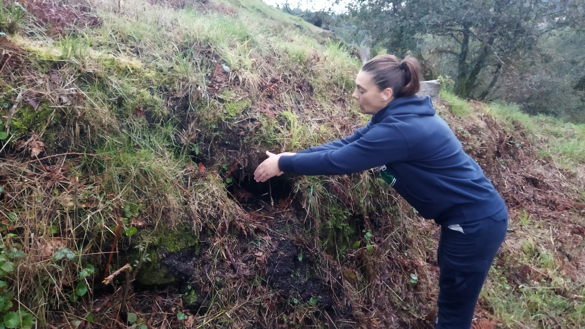 Ana muestra el lugar donde estaba semienterrado el nido de velutinas
