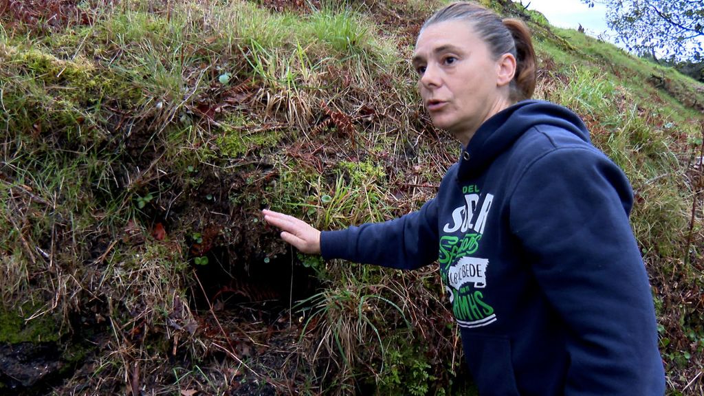 Ana, picada por 22 avispas velutinas mientras desbrozaba: “No recuerdo haber sufrido tanto dolor, era insoportable”