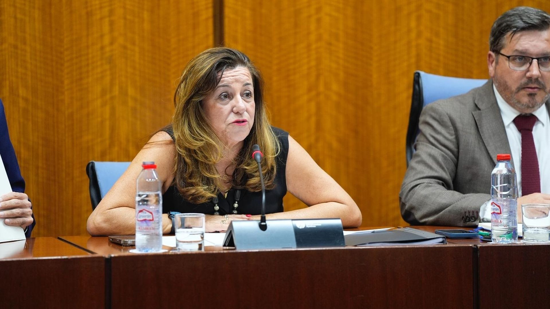 La consejera de Desarrollo Educativo y Formación Profesional, María del Carmen Castillo, en la comisión parlamentaria