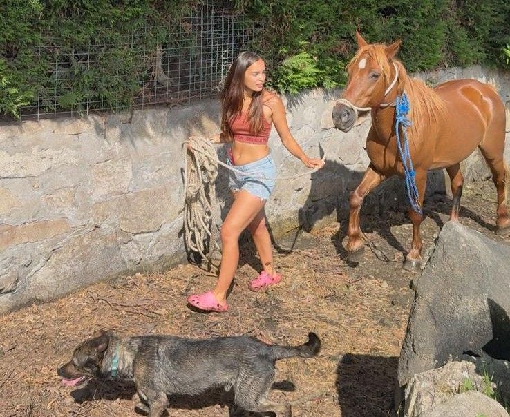 La yegua vive en el refugio desde que fue rescatada el pasado mes de julio