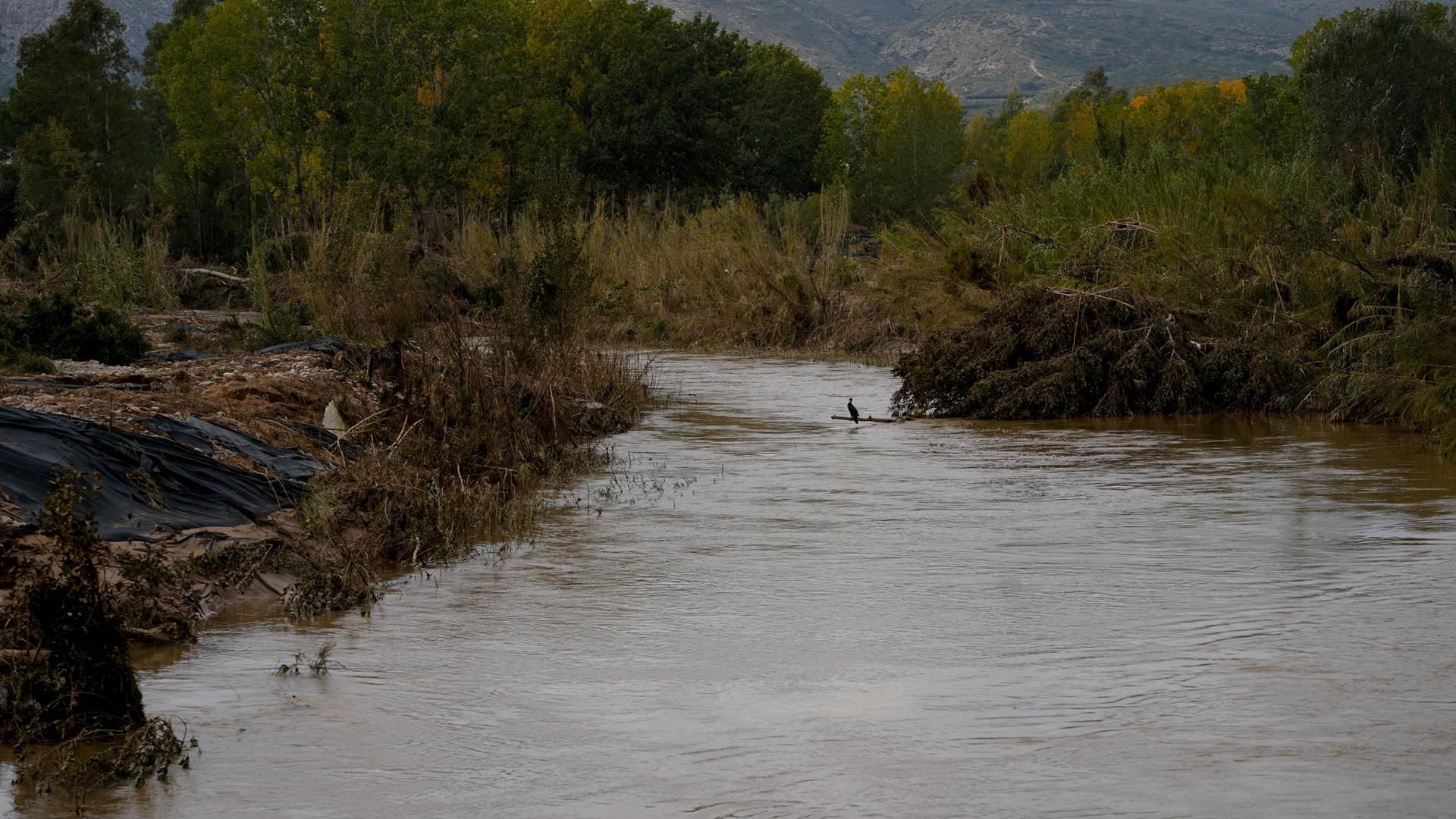 Río Turia tras la DANA