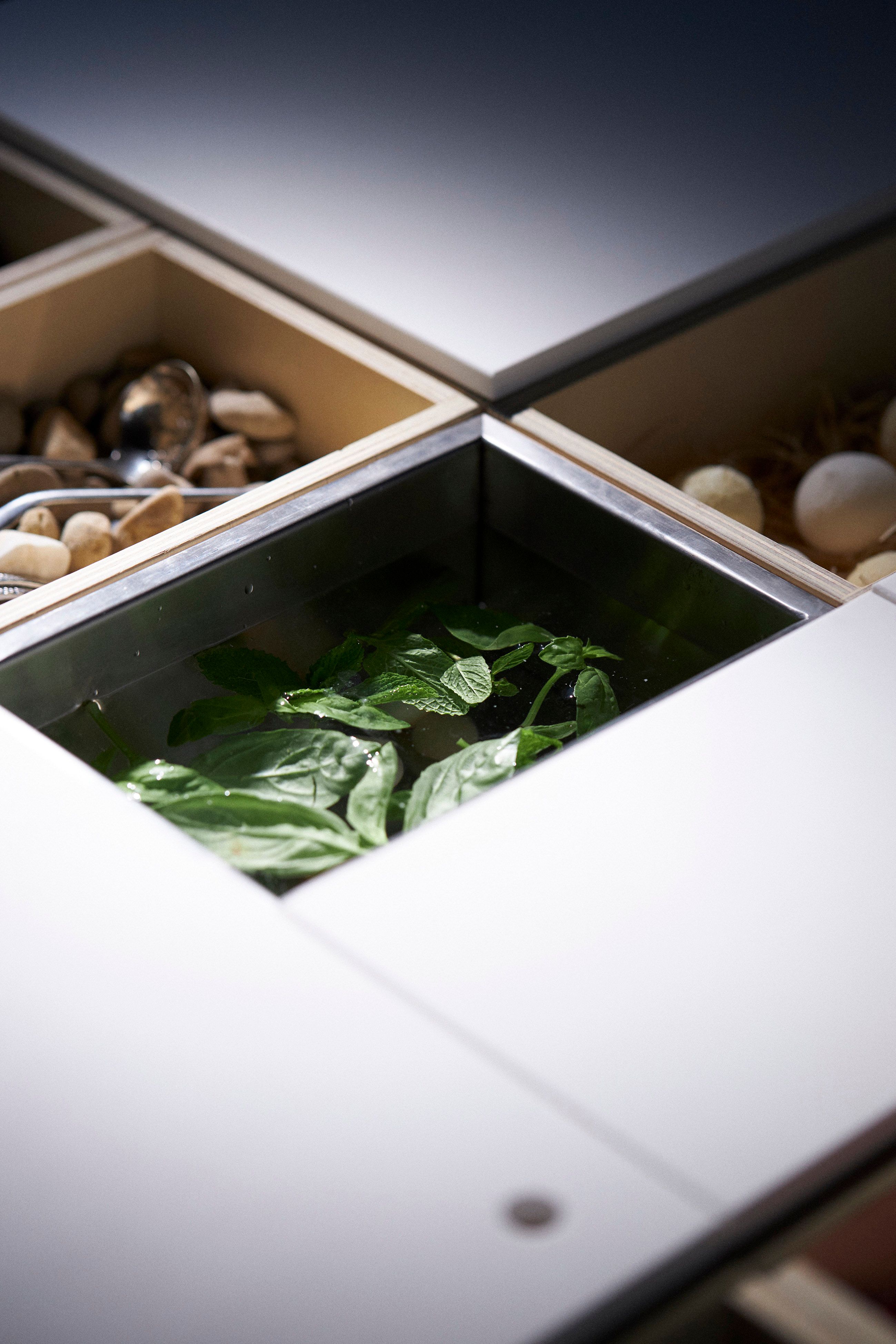 Detalles de la Mesa Viva de la que disfrutó Lady Gaga