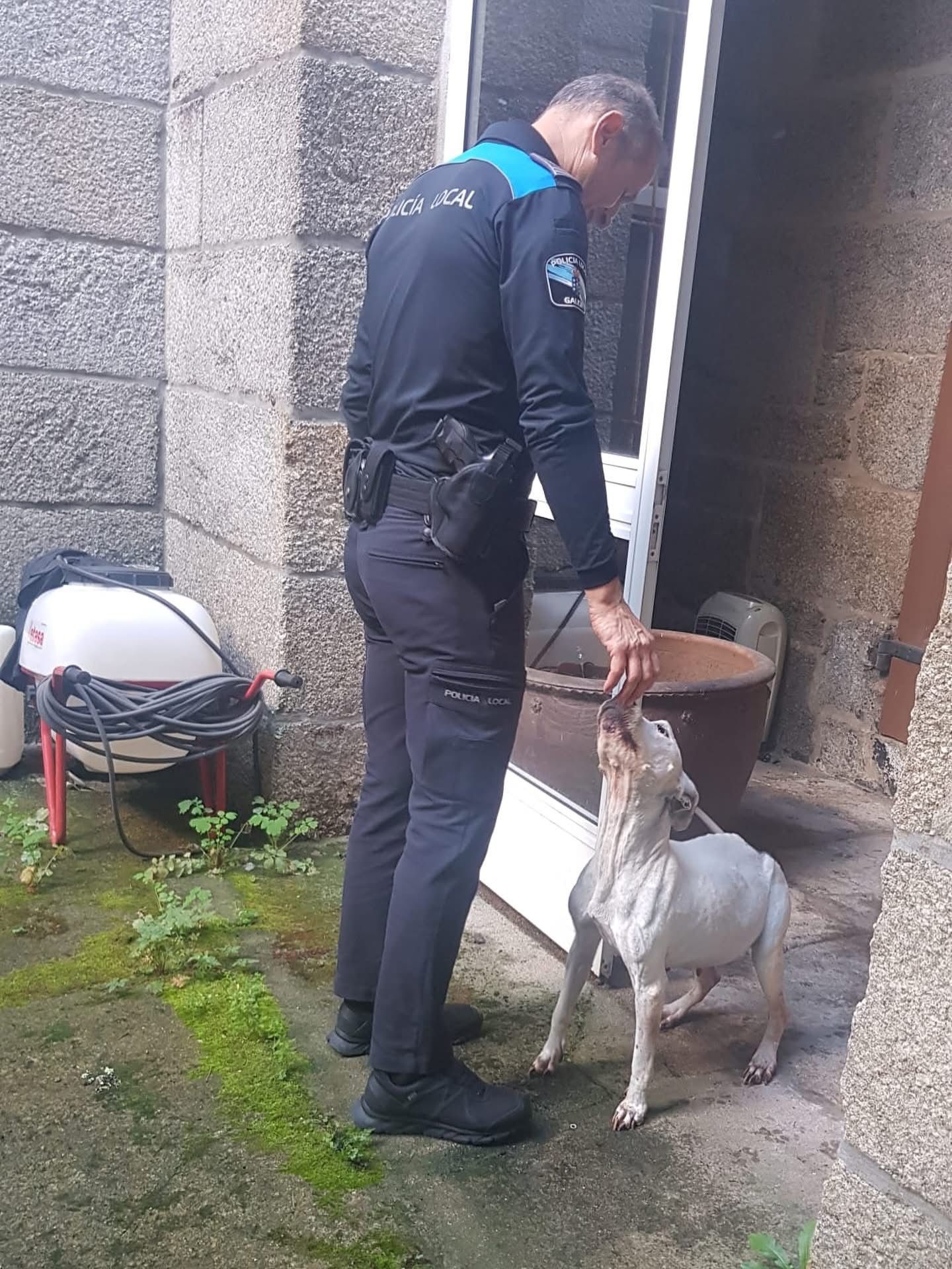 La Policía Local trasladó al animal a la perrera de la Diputación de Pontevedra