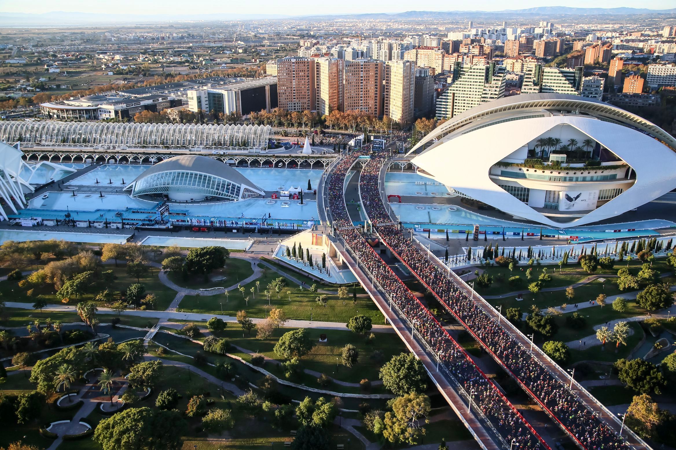 Maratón Valencia 2023