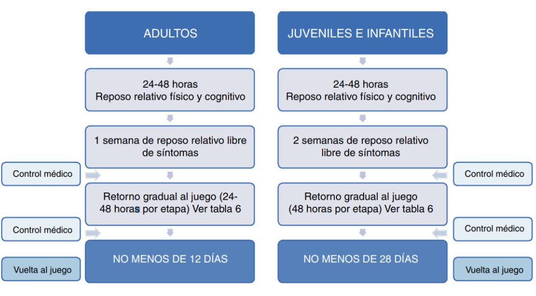 Protocolo de Retorno Gradual al Juego tras una conmoción cerebral propuesto por la Sociedad Neurológica Argentina en su artículo "Protocolo para la evaluación y el manejo de las conmociones cerebrales asociadas al deporte".