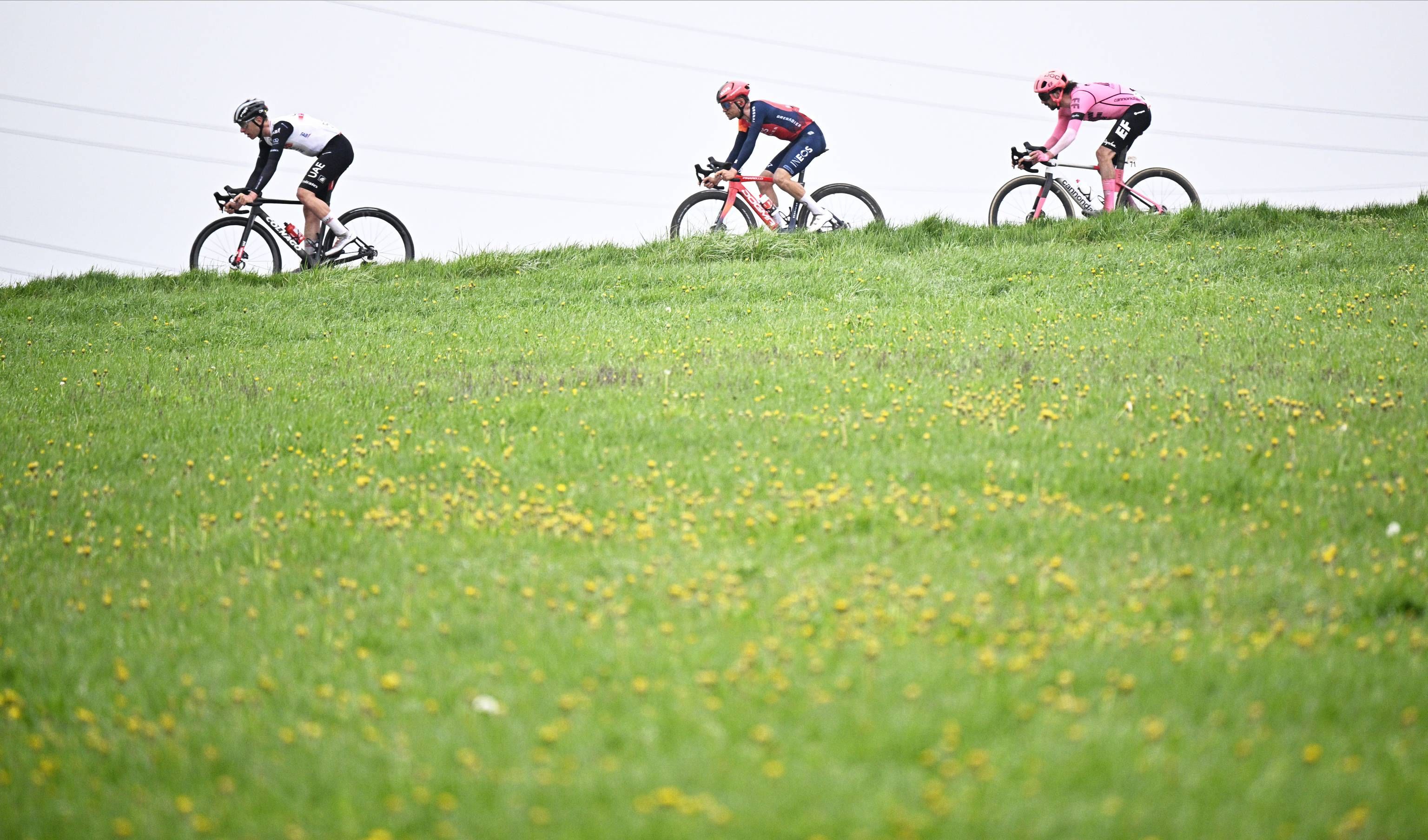 Tadej Pogacar, en la Amstel Gold Race.