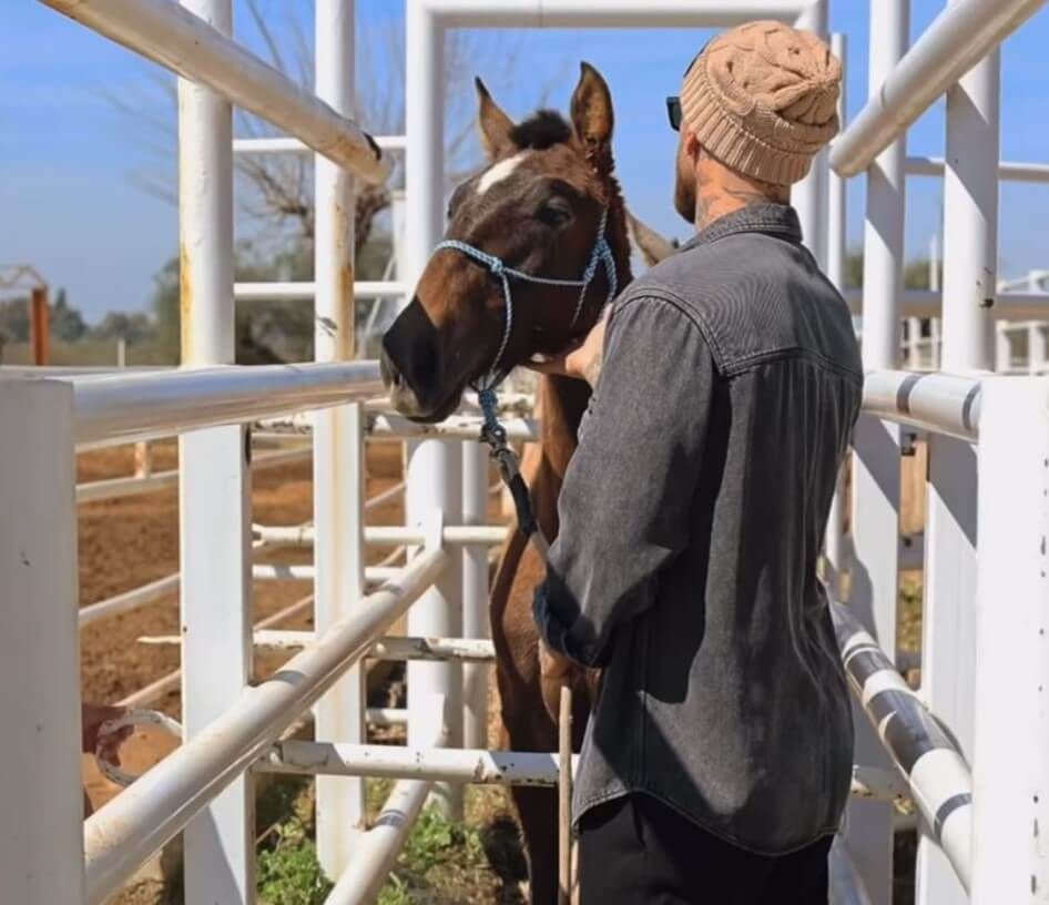  Sergio Ramos con uno de los caballos de su yeguada, SR4