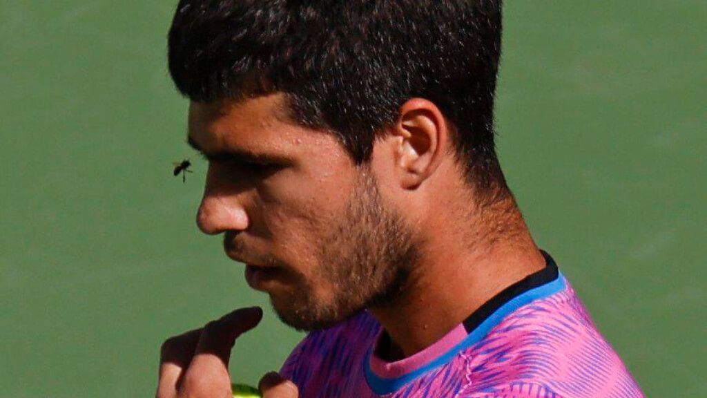  Carlos Alcaraz rodeado de abejas mientras juega un partido en Indian Wells (Cordon Press)