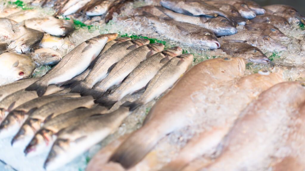  Pescado expuesto en un mercado