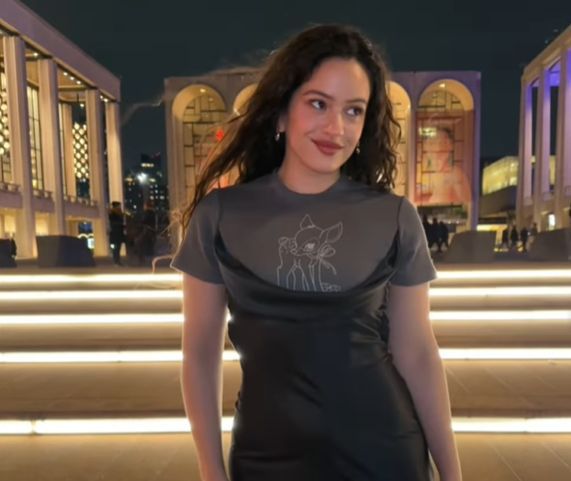  Rosalía y el lenguaje de los comentarios en TikTok (@rosalia.vt)