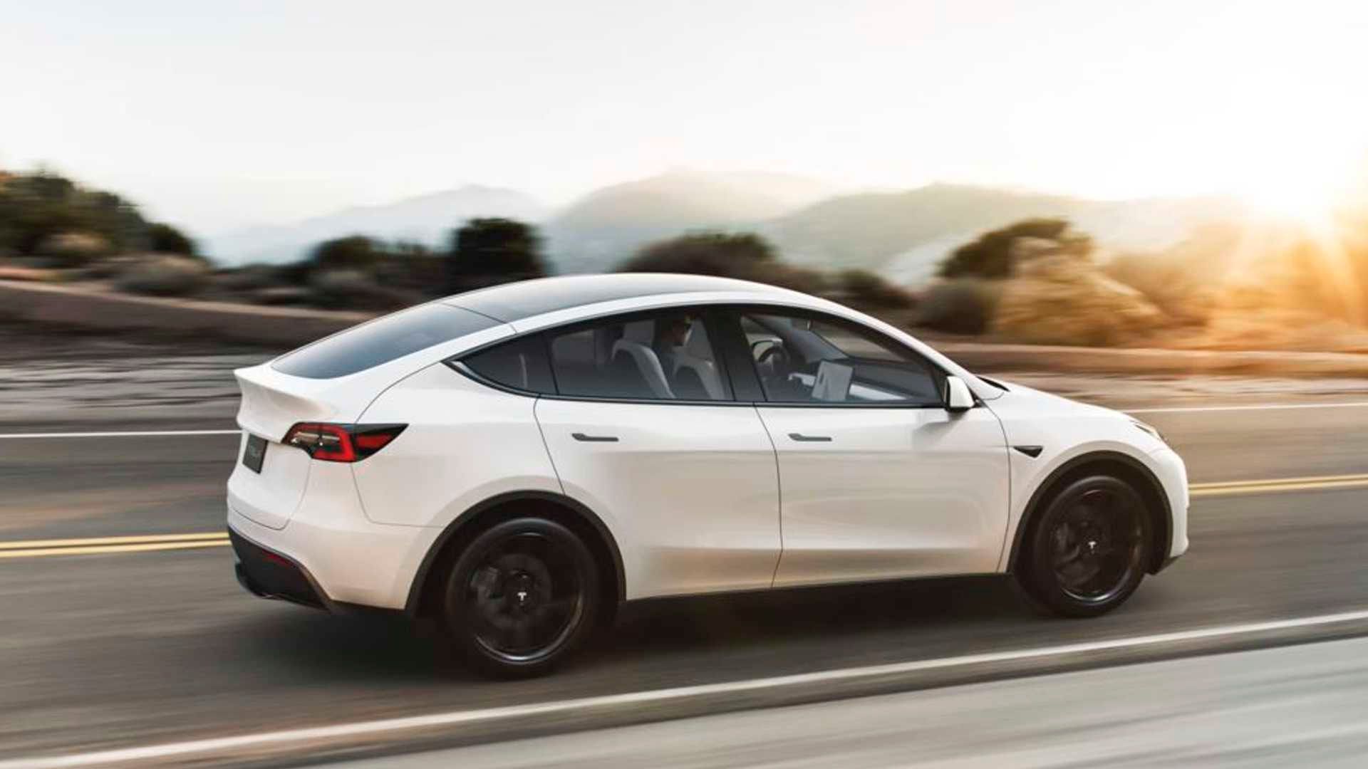  Tesla Model Y