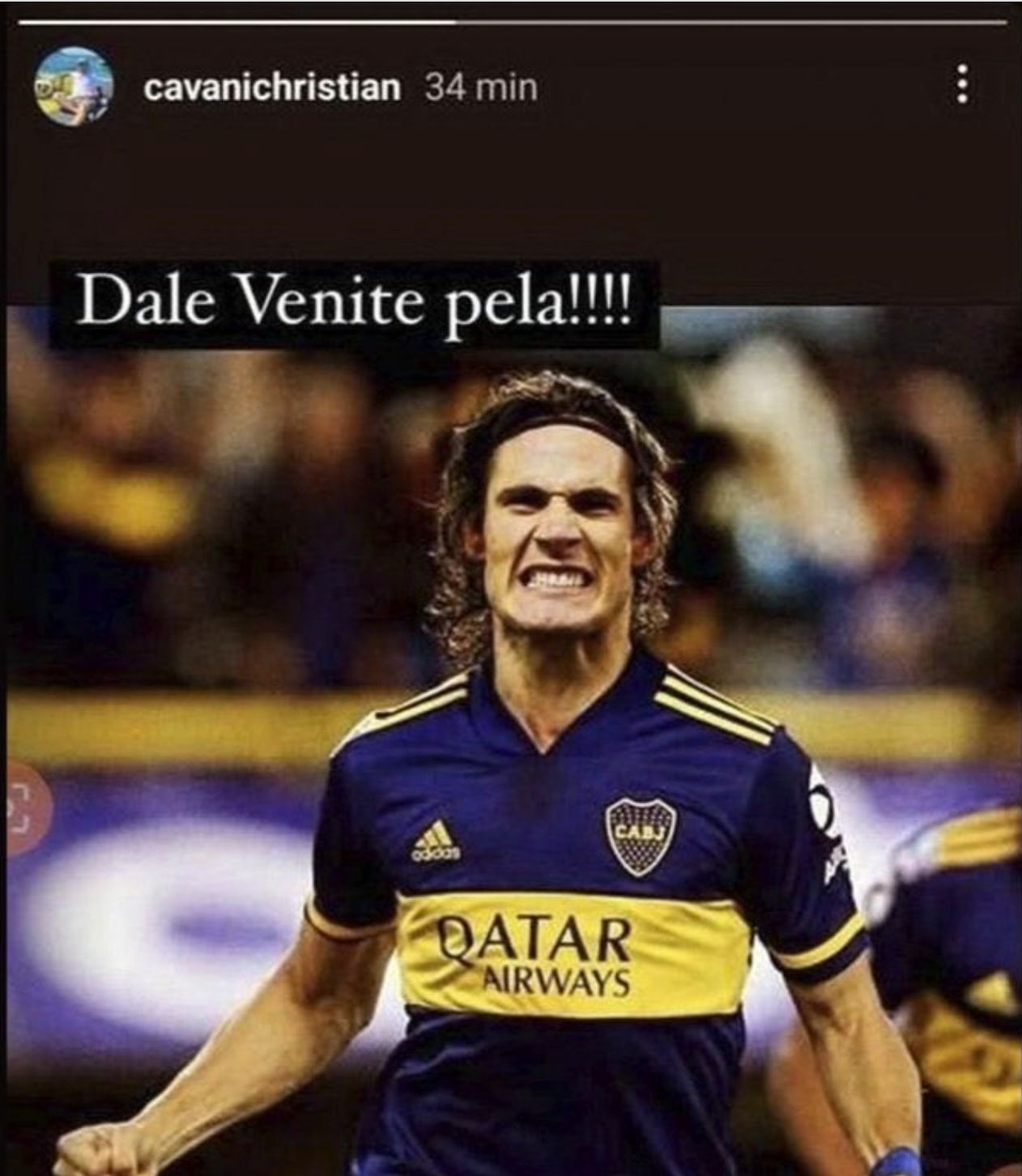  Cavani