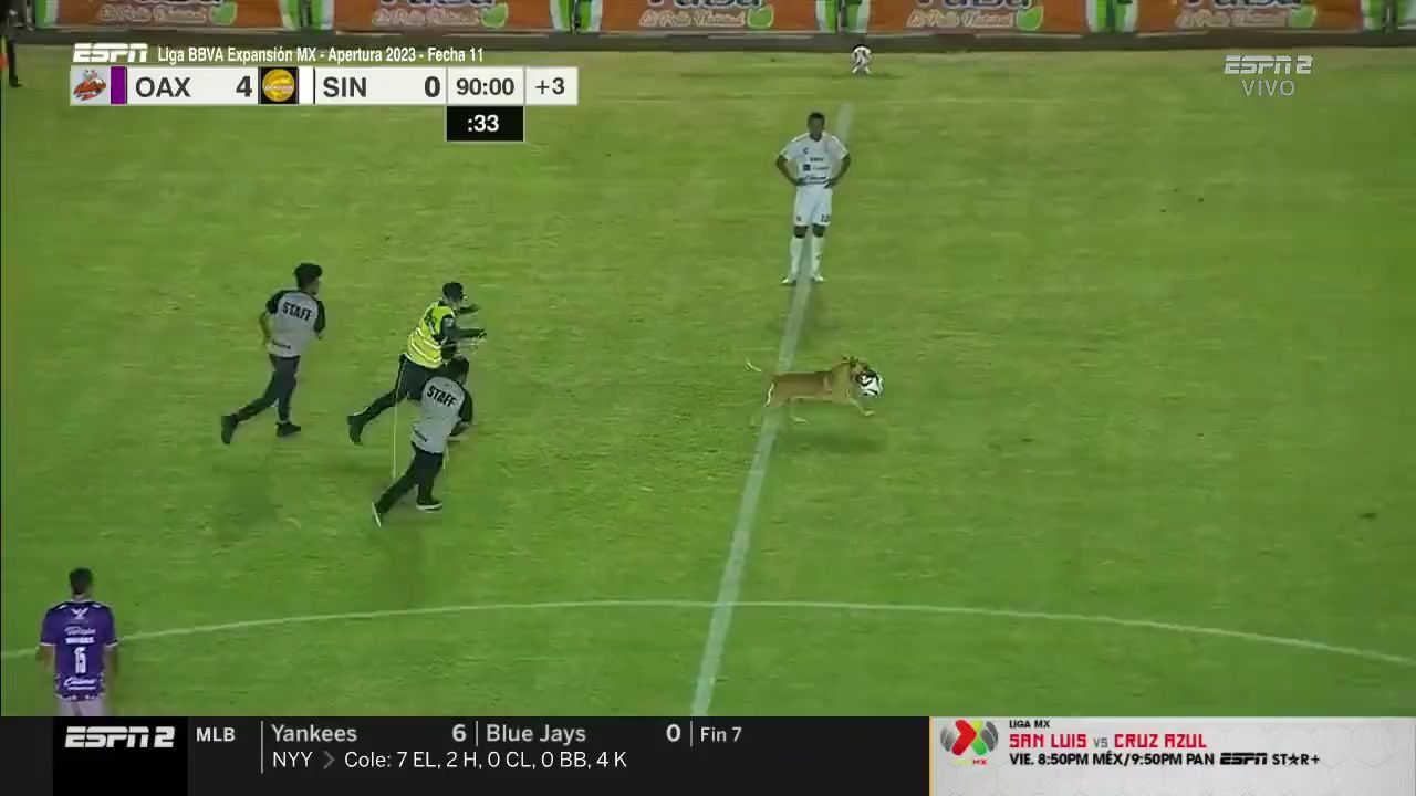  El perro era imposible de parar por la seguridad.