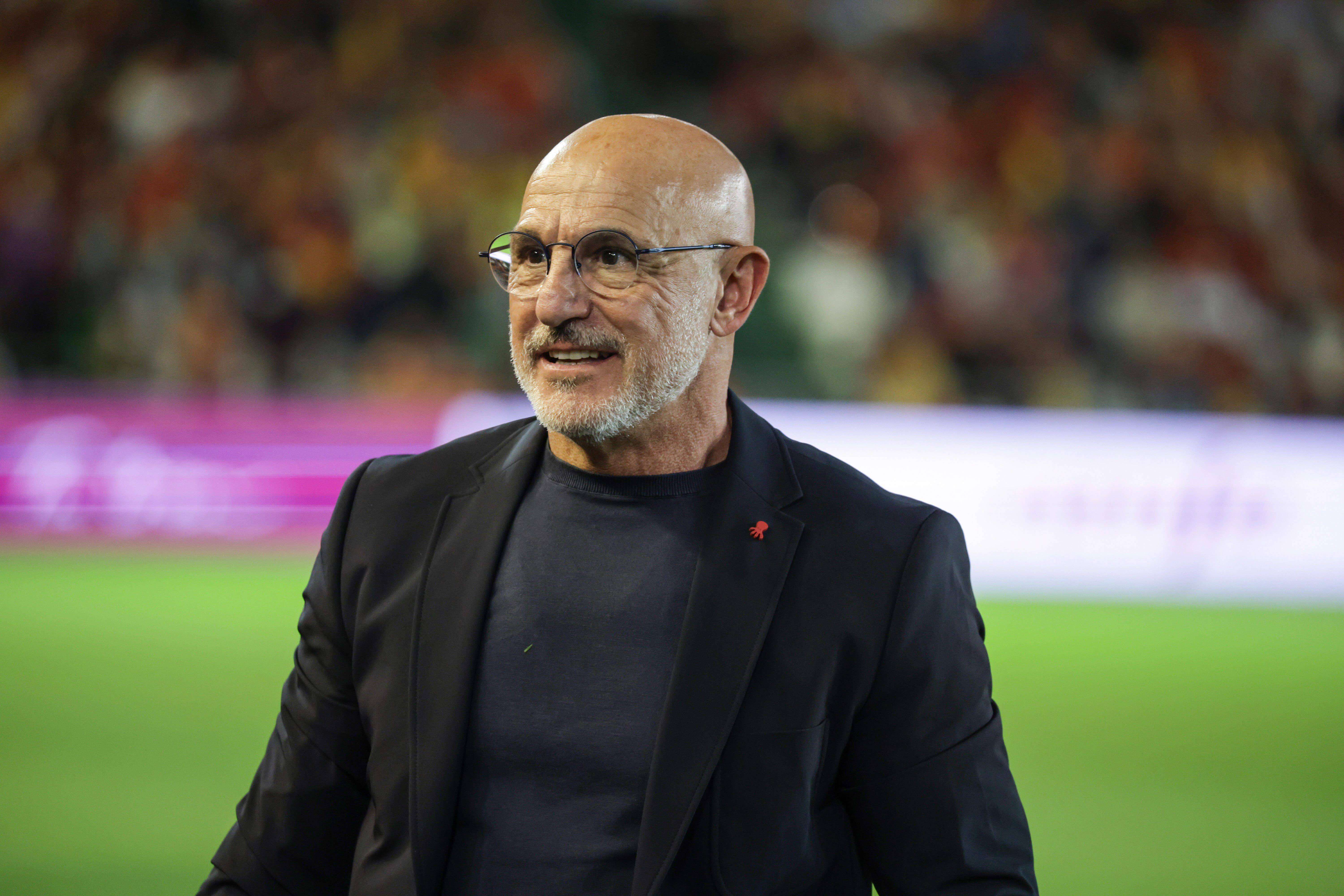 Luis de la Fuente, durante el España-Serbia en Córdoba.