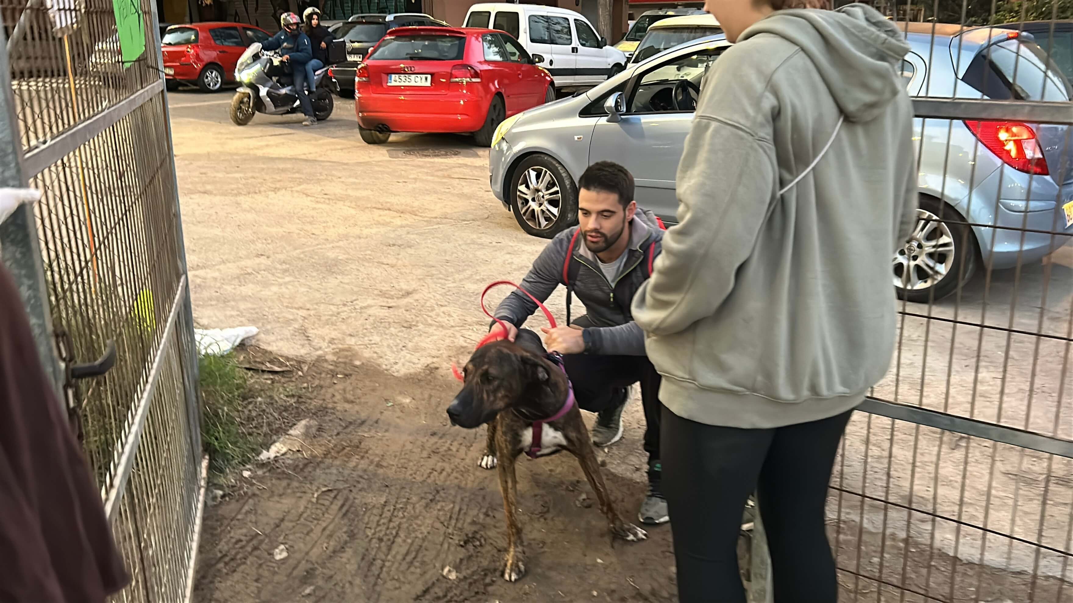 Sporting Benimaclet ayuda a las mascotas por la DANA
