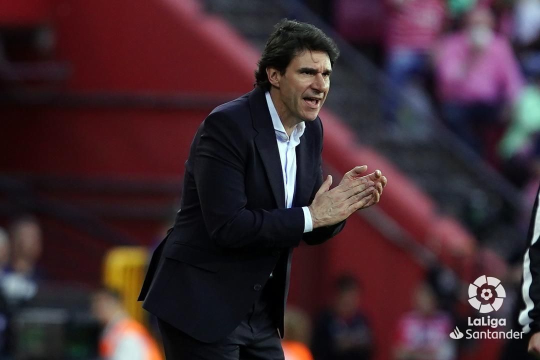 Aitor Karanka, en el Granada-Espanyol.