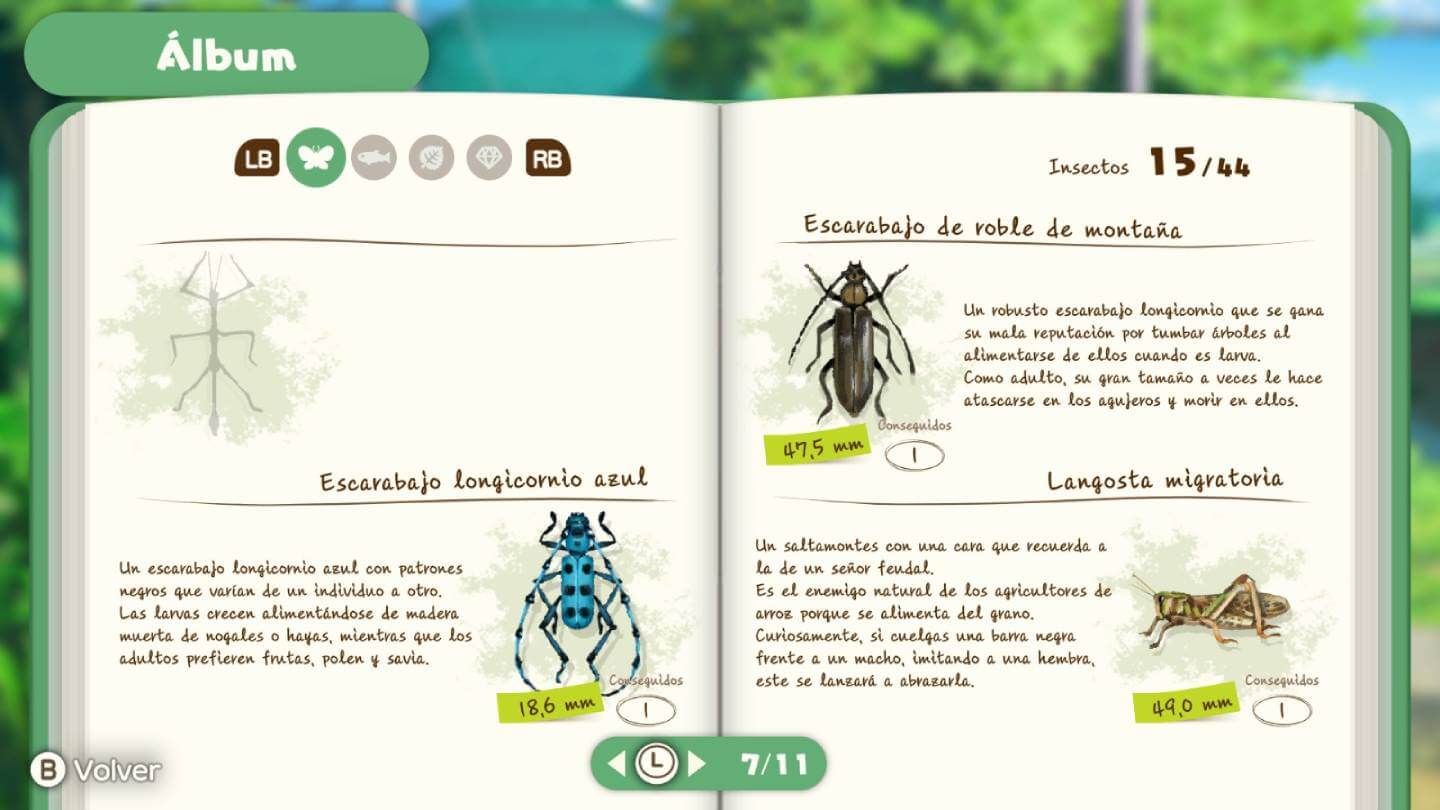  El álbum 'Pokédex' de Shin chan: Nevado en Carbónpolis