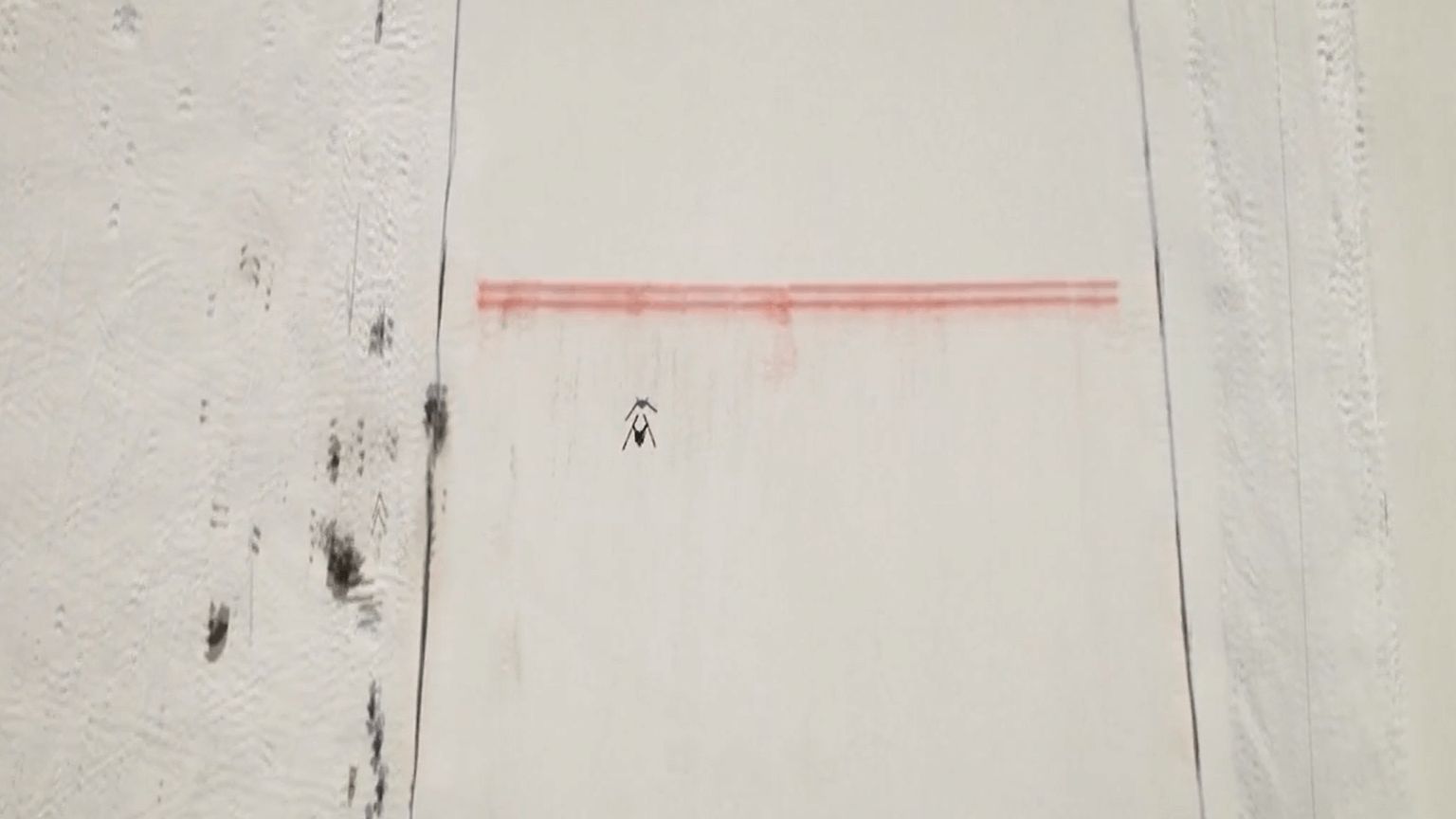 Kobayashi, suspendido en el aire