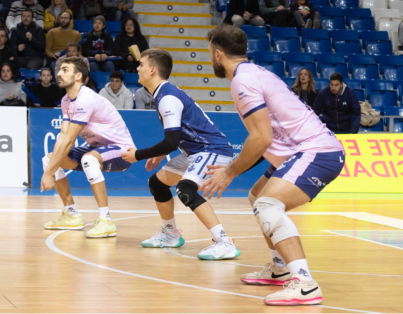 Conqueridor recoge su regalo de Reyes de Palma