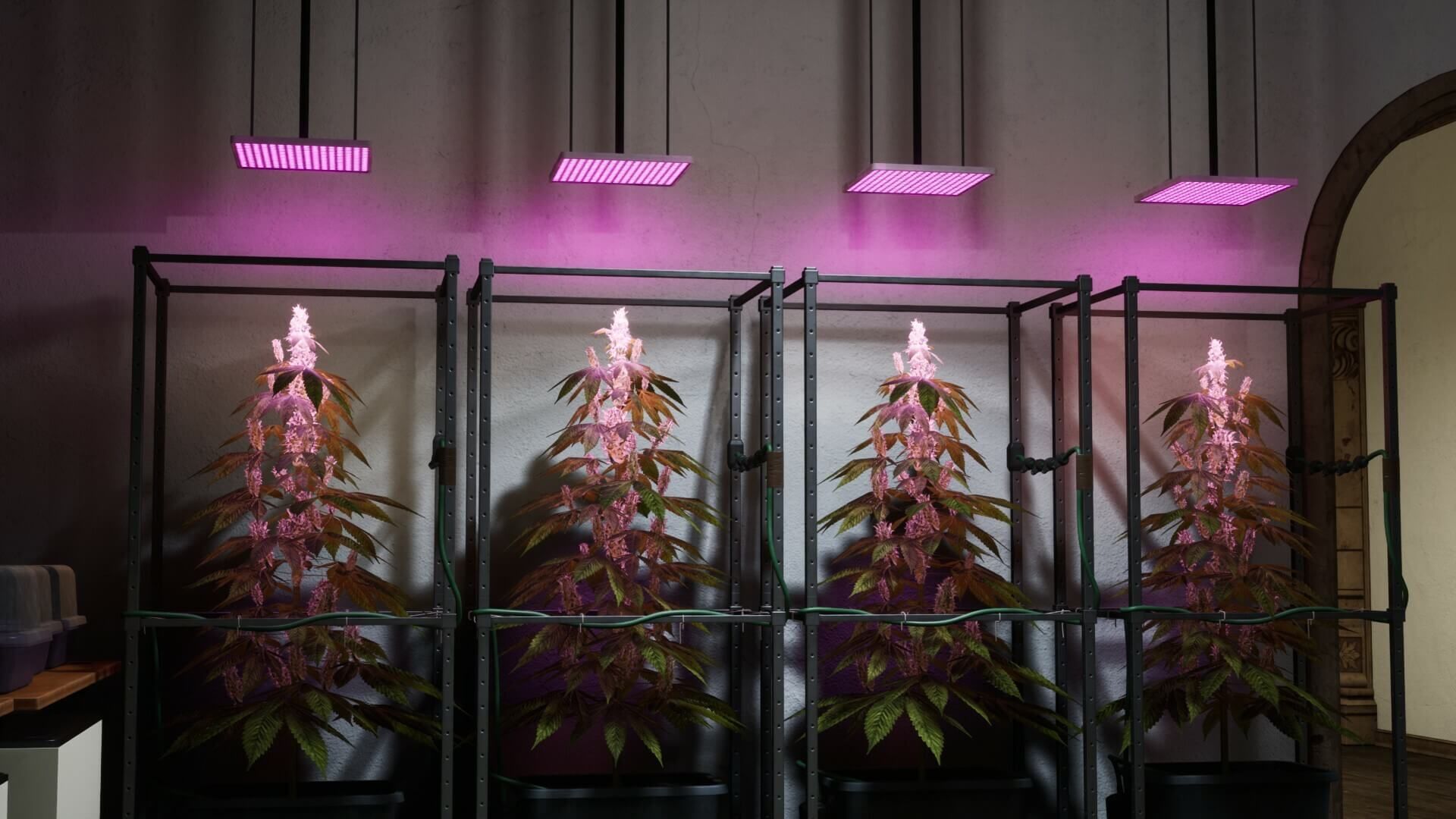  Drug Dealer Simulator 2: la clase de 'botánica' es esencial.