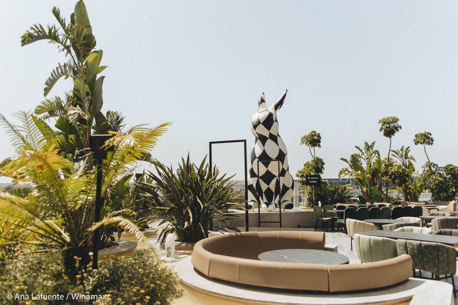  Lucky, la mascota de la que habla Pablo López