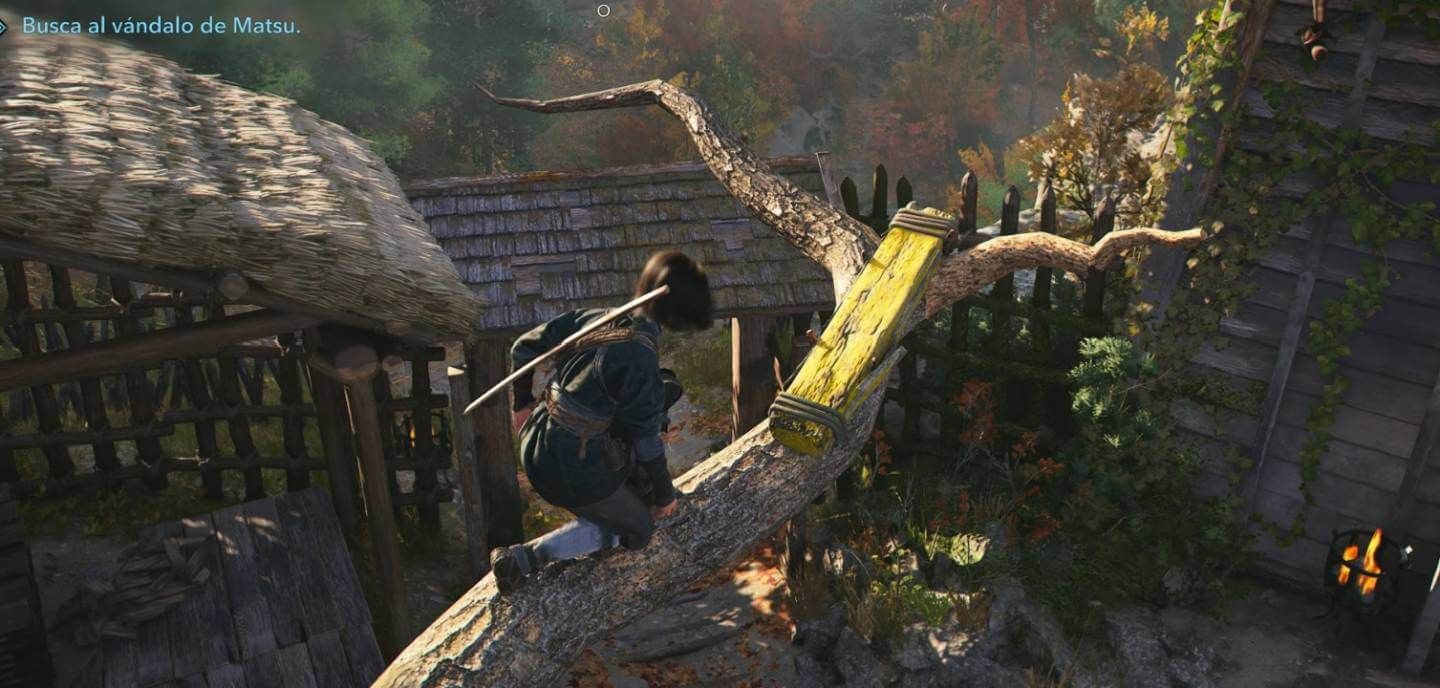 La pintura amarilla en algunos árboles de Assassin's Creed Shadows