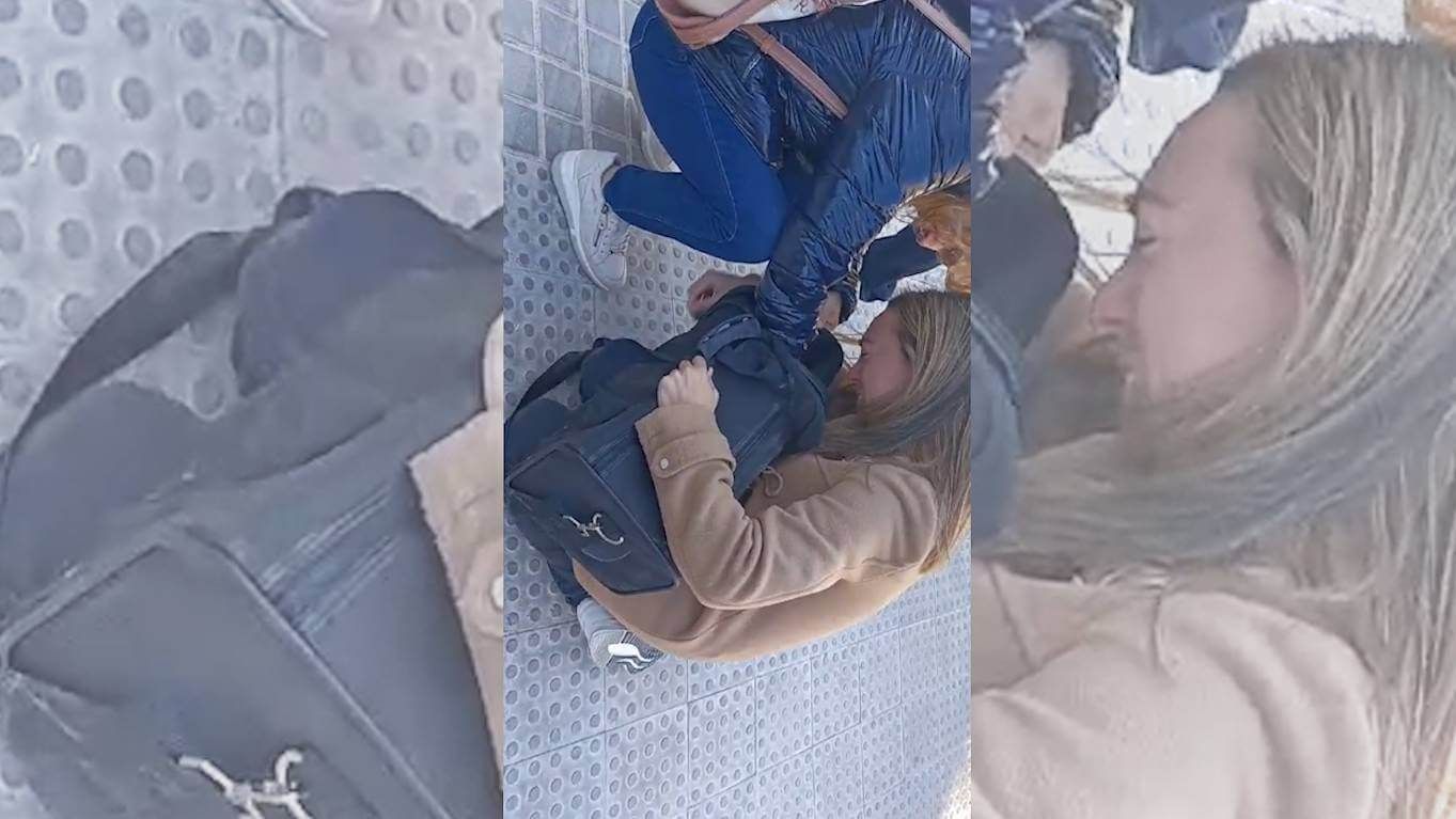 Rescatan a un gato del incendio de Valencia una semana después: la reacción de la dueña rompe el