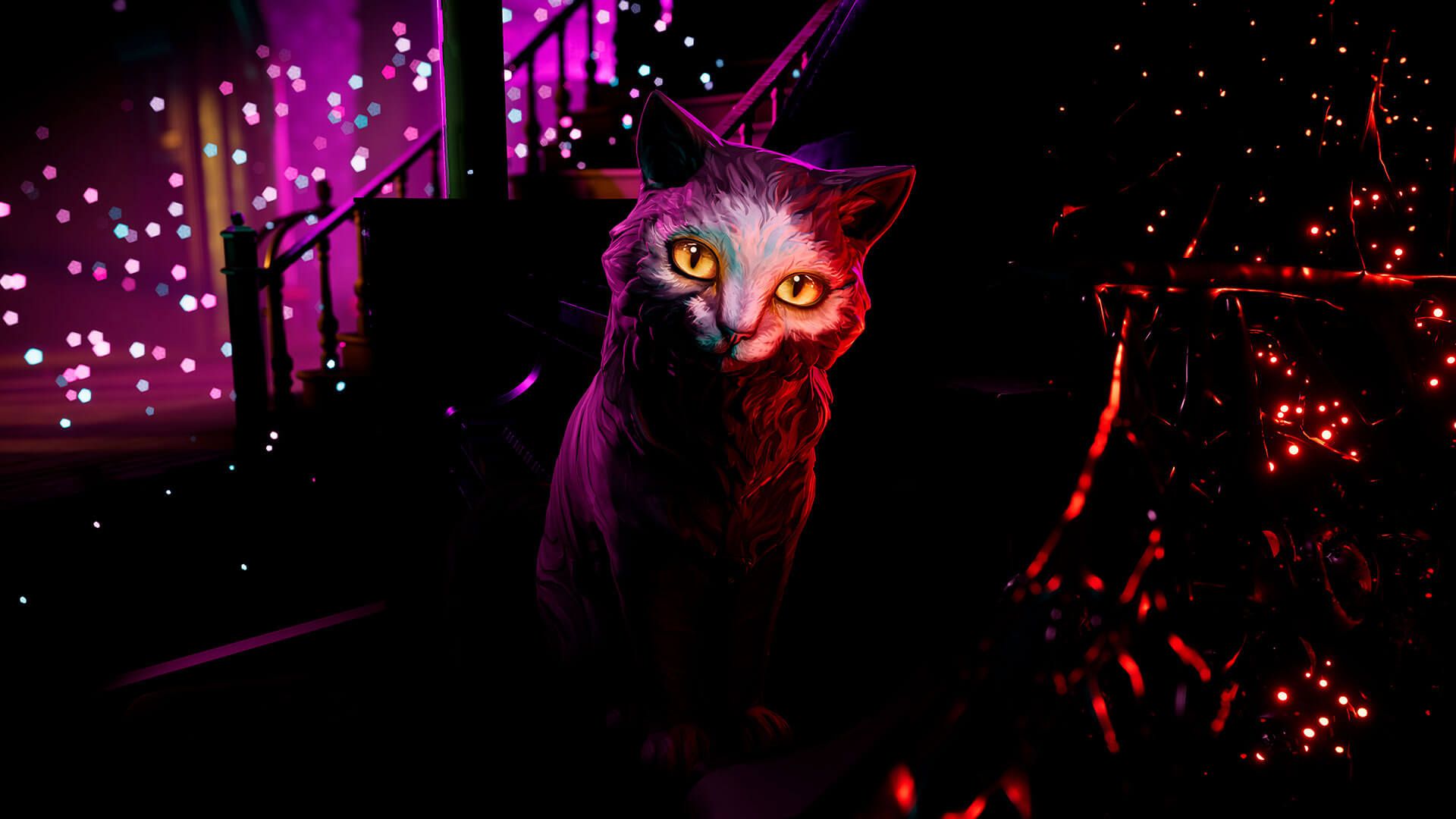 There Are No Ghosts at the Grand