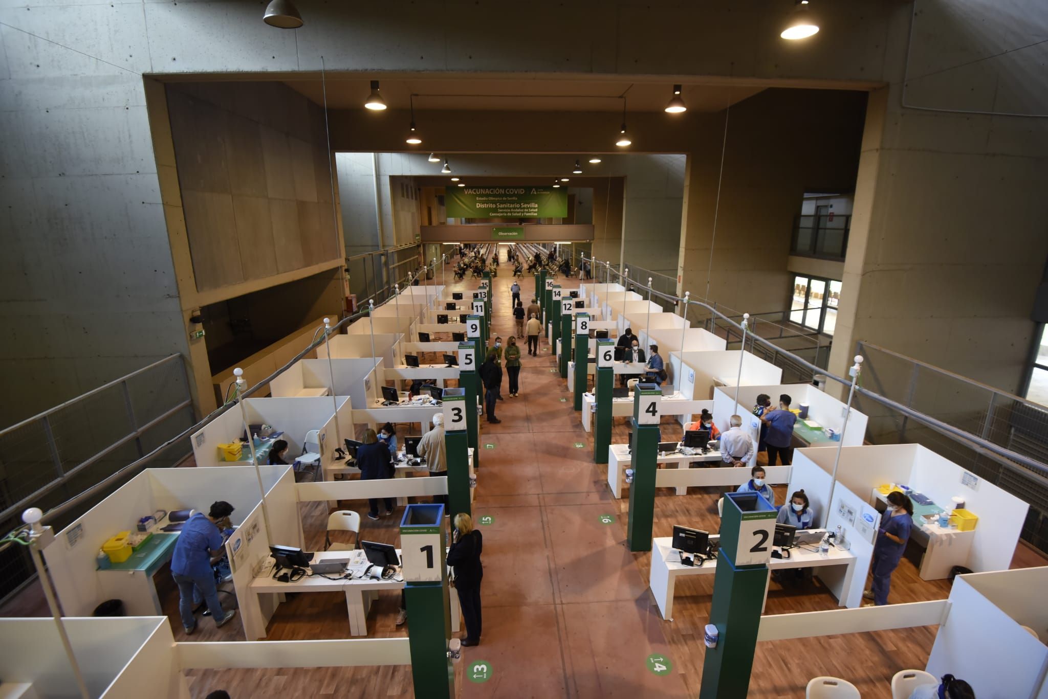 Vacunación masiva en el Estadio de La Cartuja.