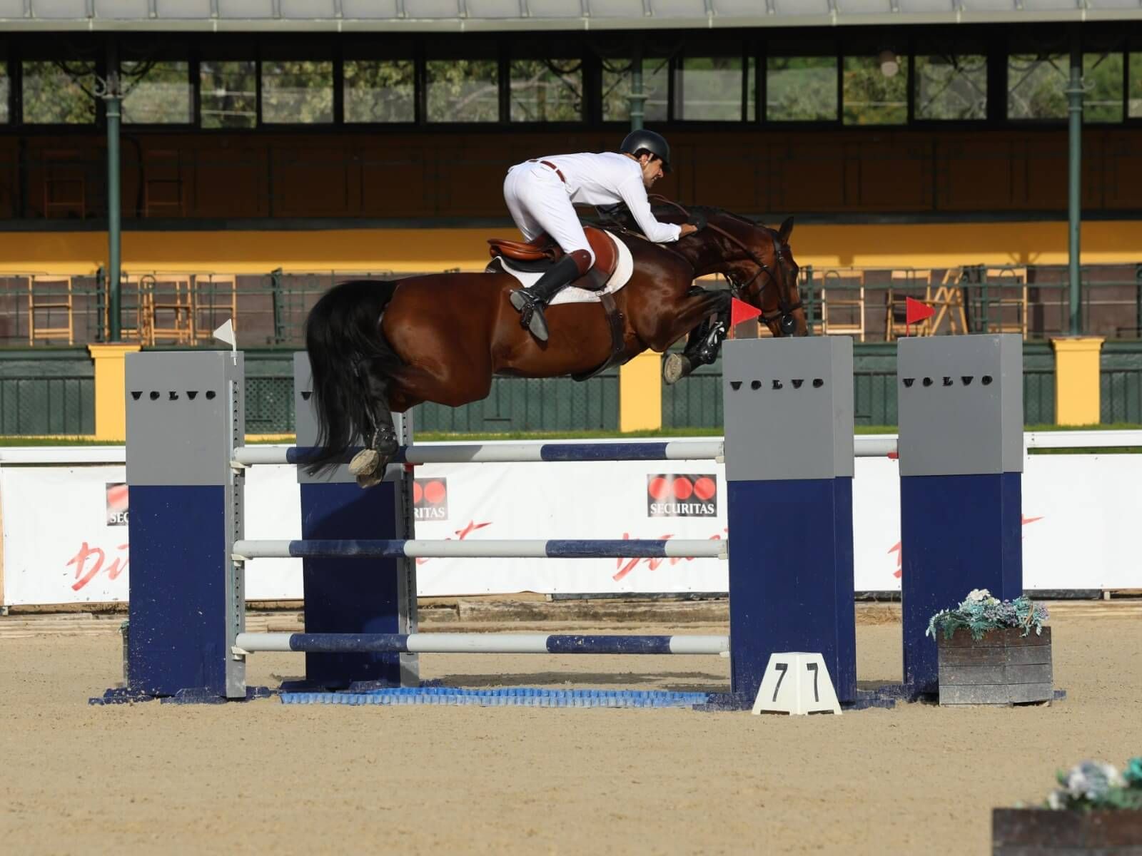 La jornada inaugural del CSN5* en el Real Club Pineda de Sevilla arrancó con gran nivel.