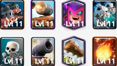 Mazo de puercos reales