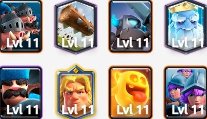 Mazo de puercos reales