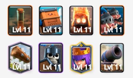 Ciclo de puercos reales