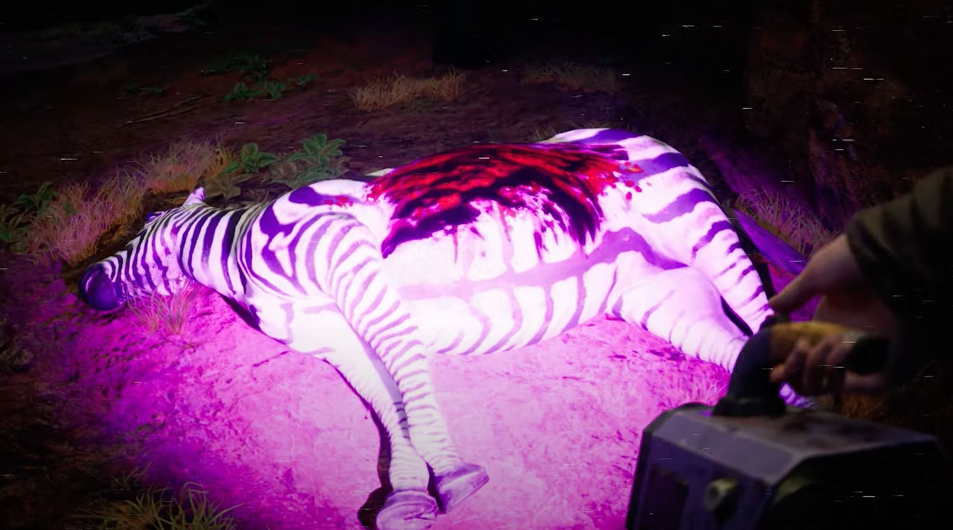 Una imagen de Zoochosis.