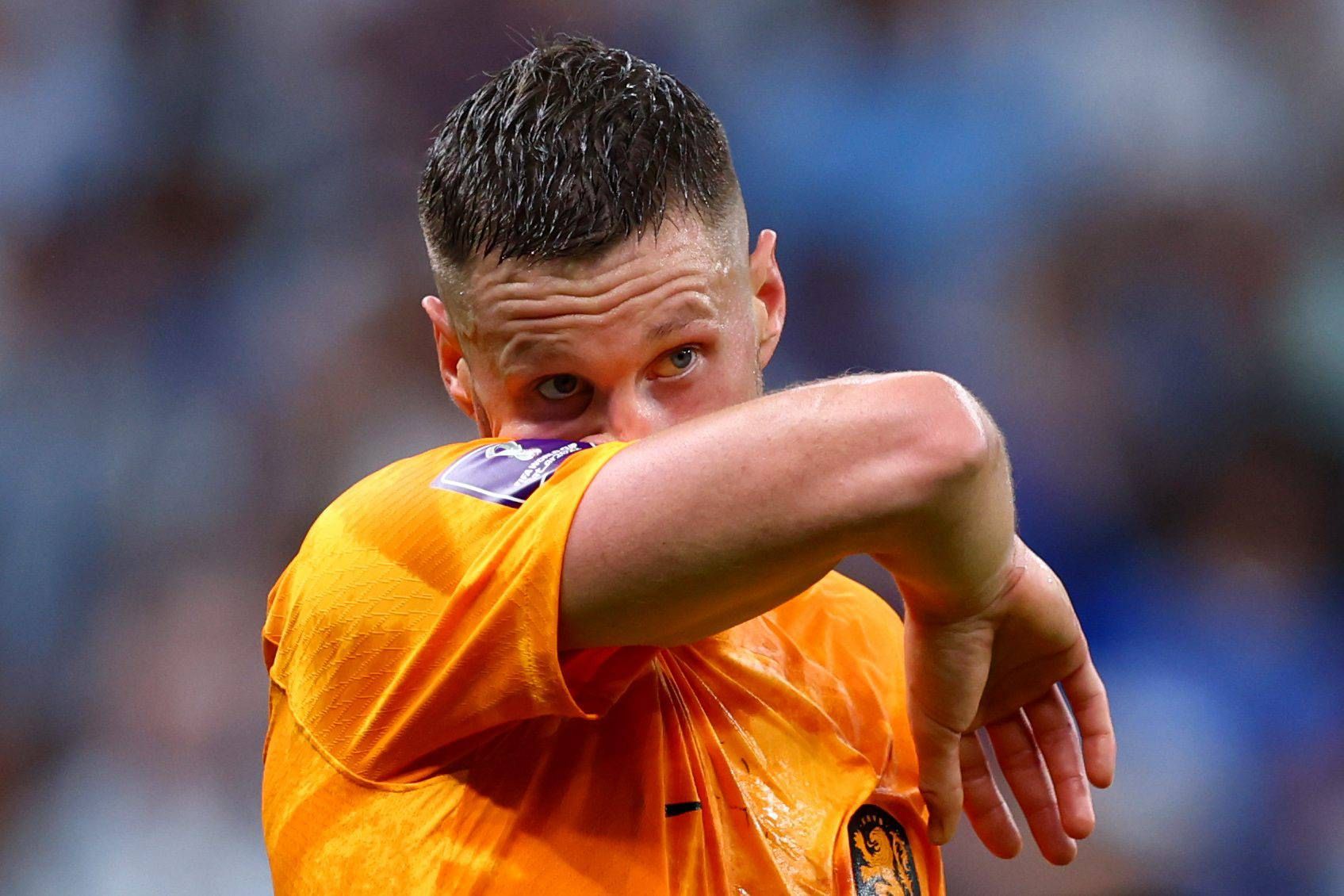 Wout Weghorst, durante el Países Bajos-Argentina (Foto: Cordon Press).