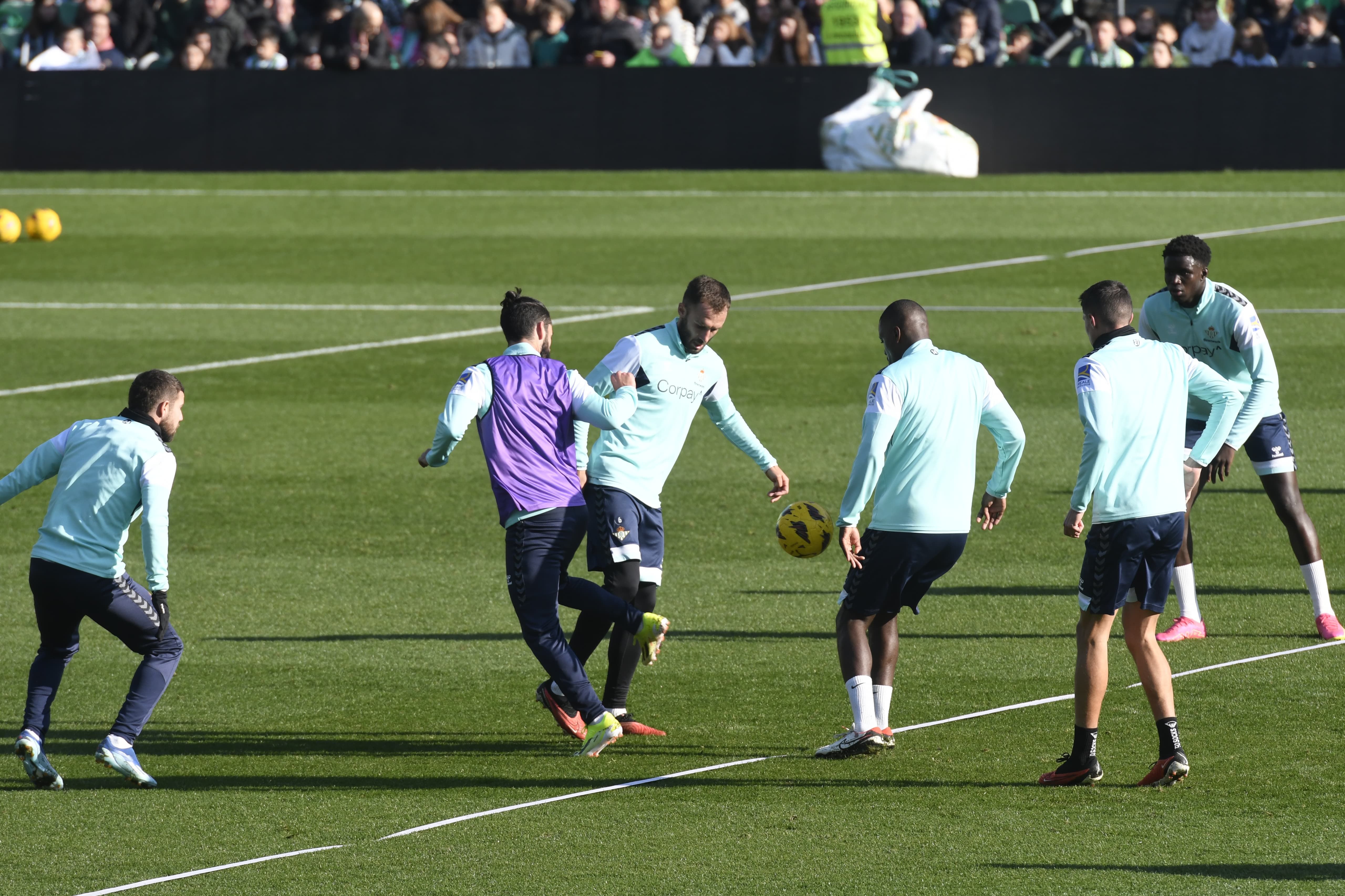 Imagen de un entrenamiento del Real Betis (foto: Kiko Hurtado).