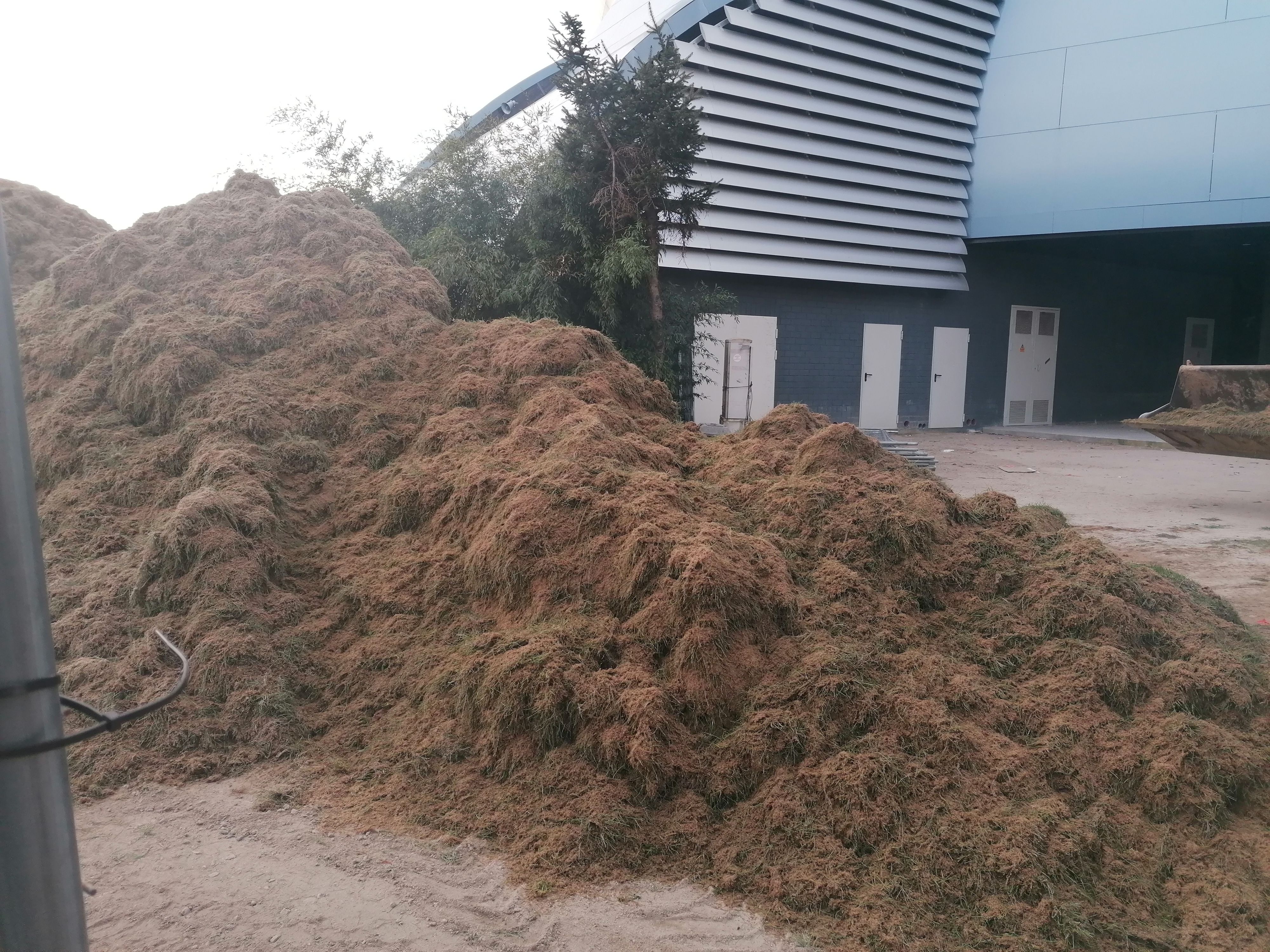 Césped retirado de Balaídos.