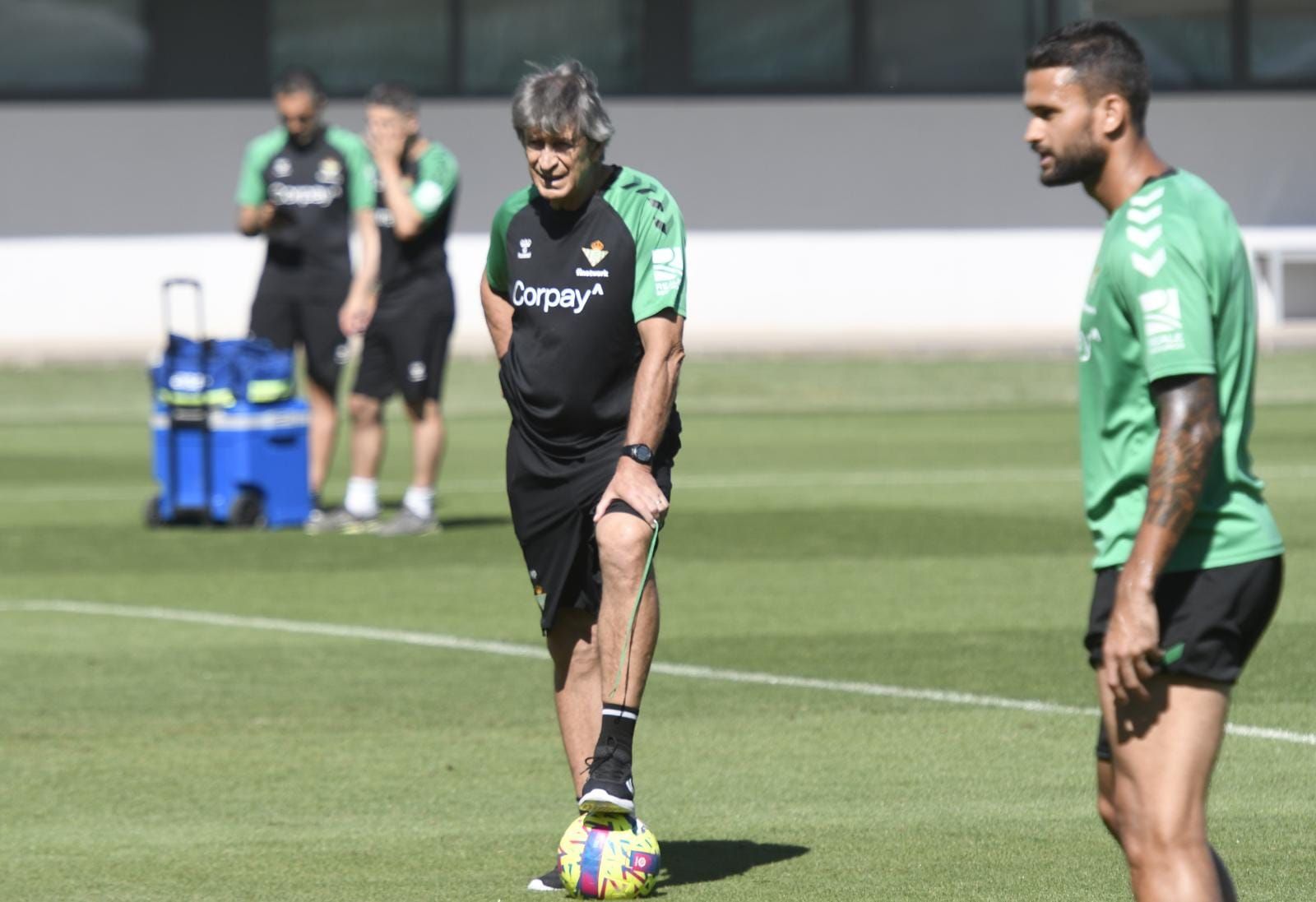  Manuel Pellegrini, entrenador del Real Betis (foto: Kiko Hurtado).
