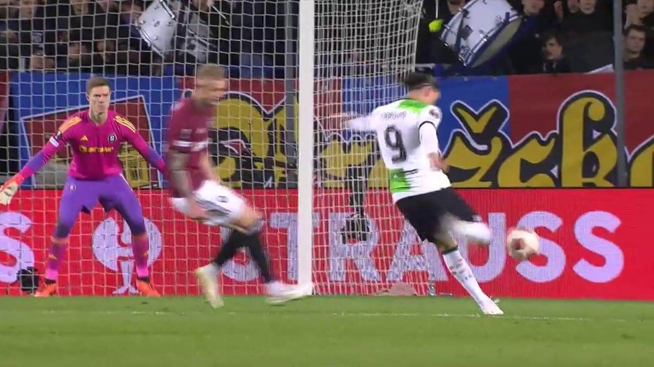 Desde ahí la enchufó Darwin. 