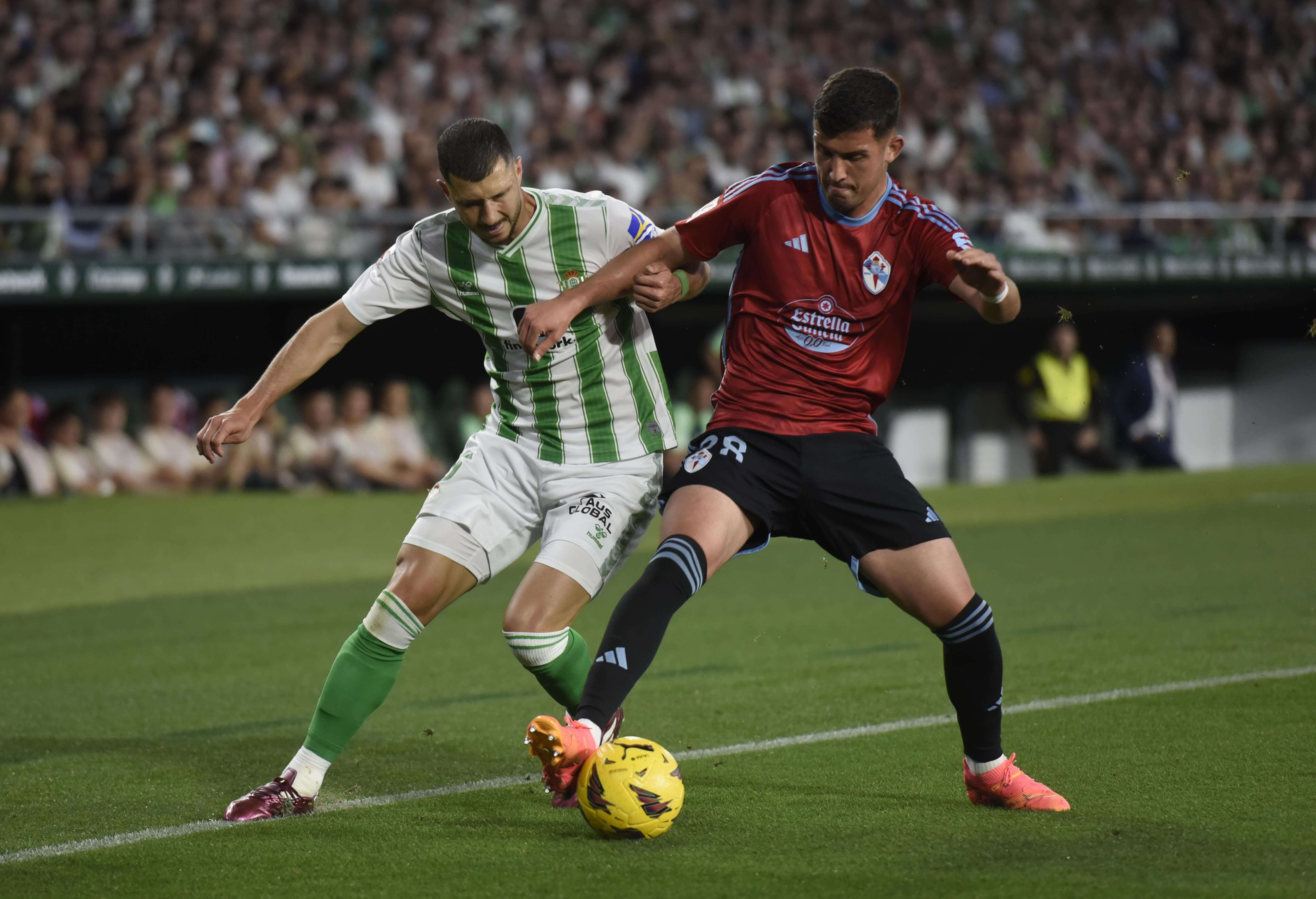 Guido Rodríguez en una acción del Betis-Celta (foto: Kiko Hurtado).