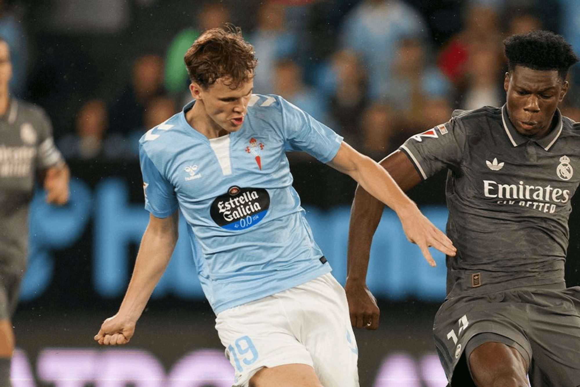  Williot Swedberg ante Tchouameni.